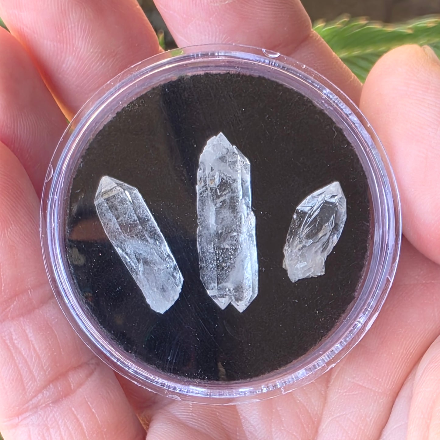 Arkansas Quartz Crystals | Three Small Pieces in a Gem Jar, from Mt. Ida