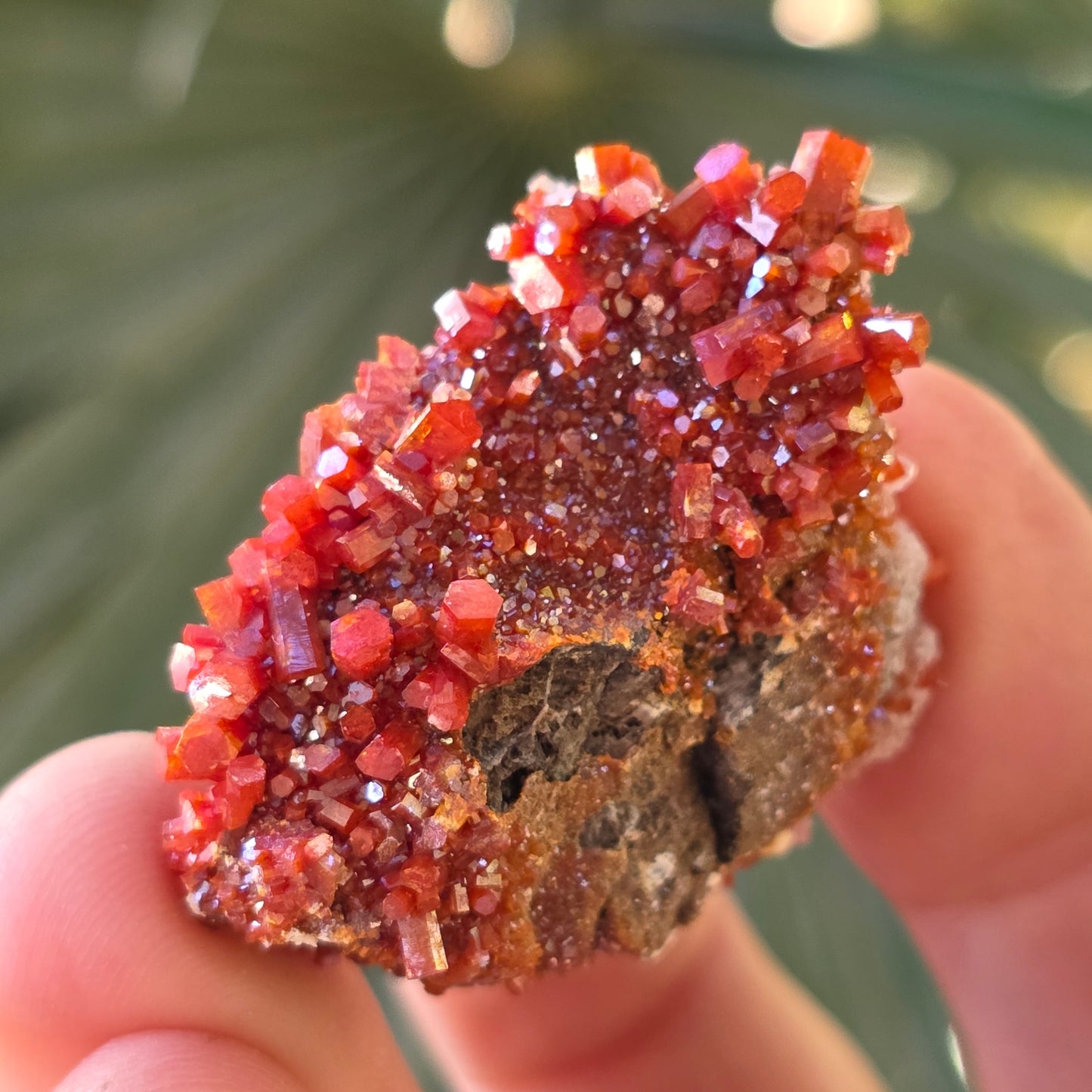 Arizona Vanadinite Rock | Red Crystals | La Paz County | Arizona | Raw Stone