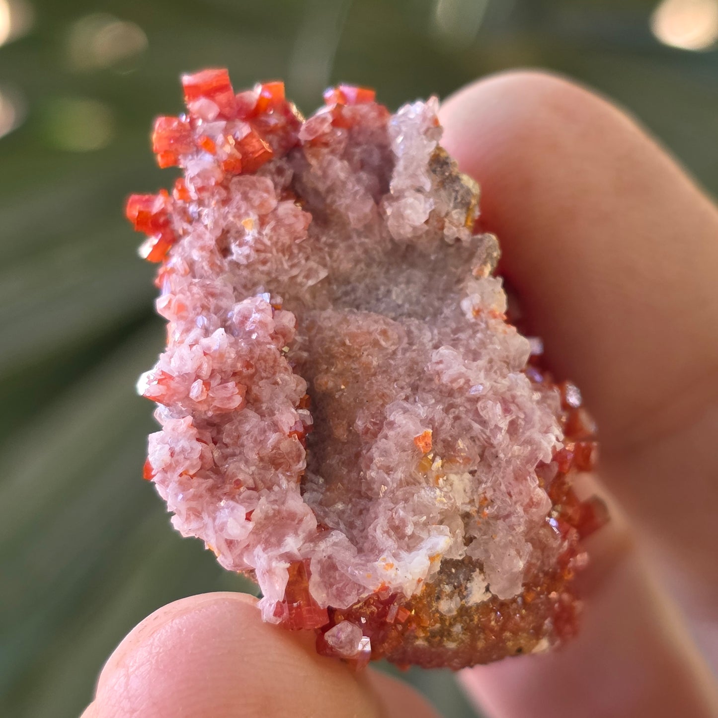 Arizona Vanadinite Rock | Red Crystals | La Paz County | Arizona | Raw Stone