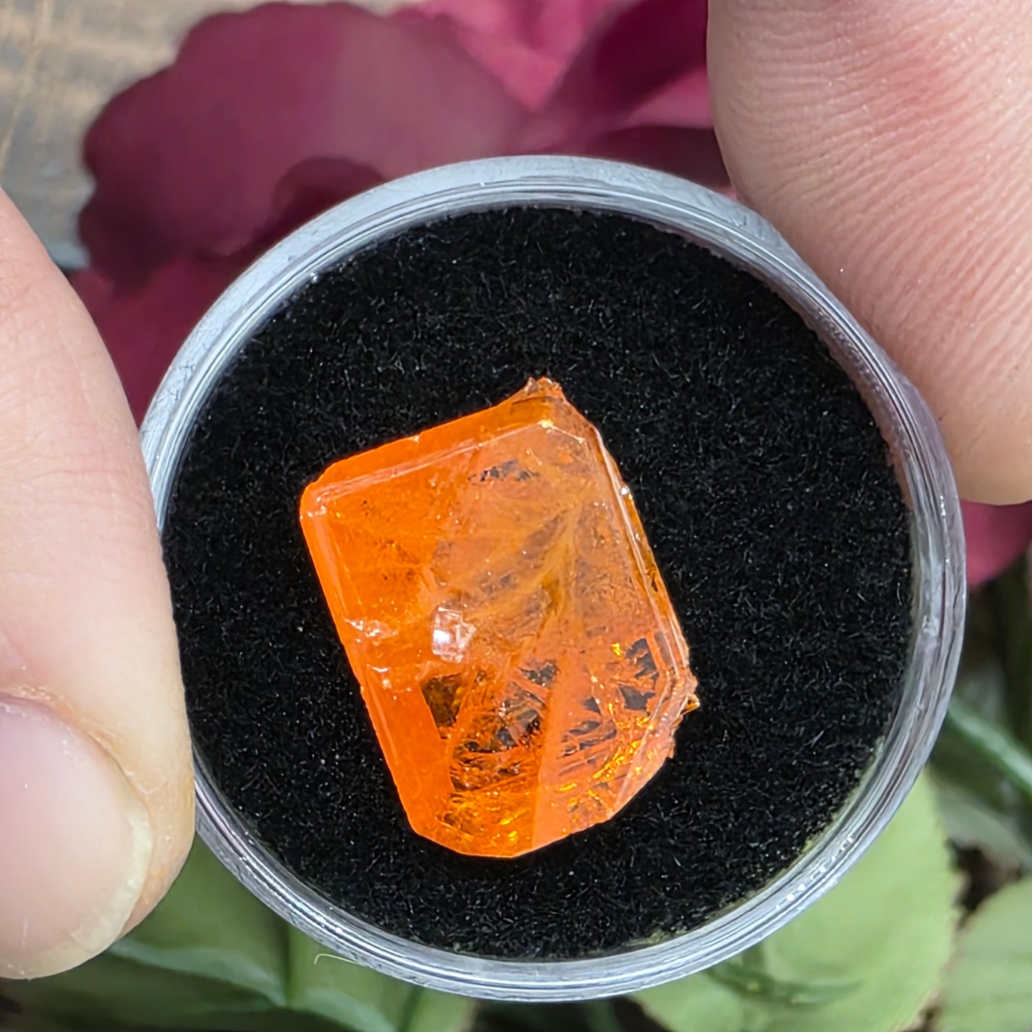 Stunning Half Inch Wulfenite Crystal | Orange Mineral | Red Cloud Mine | La Paz County | Arizona | Raw Stone