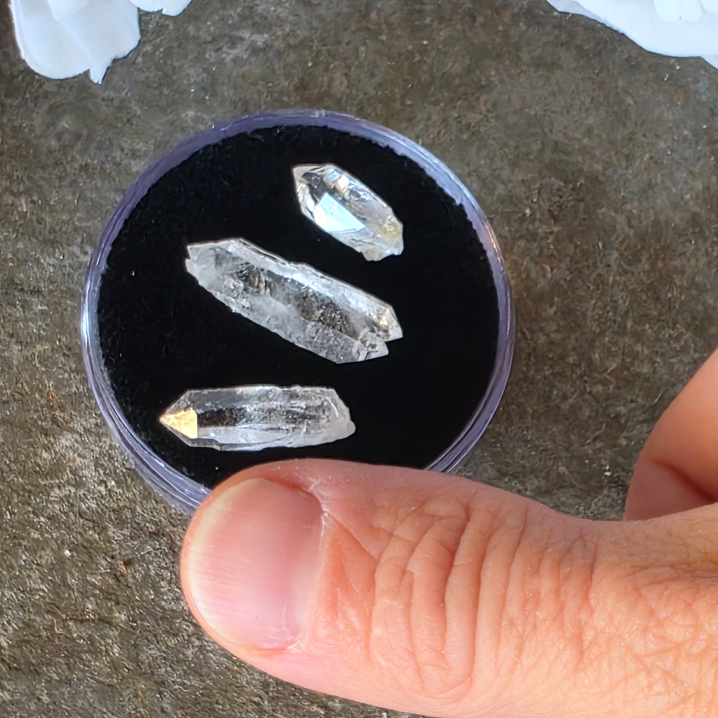 Arkansas Quartz Crystals | Three Small Pieces in a Gem Jar, from Mt. Ida