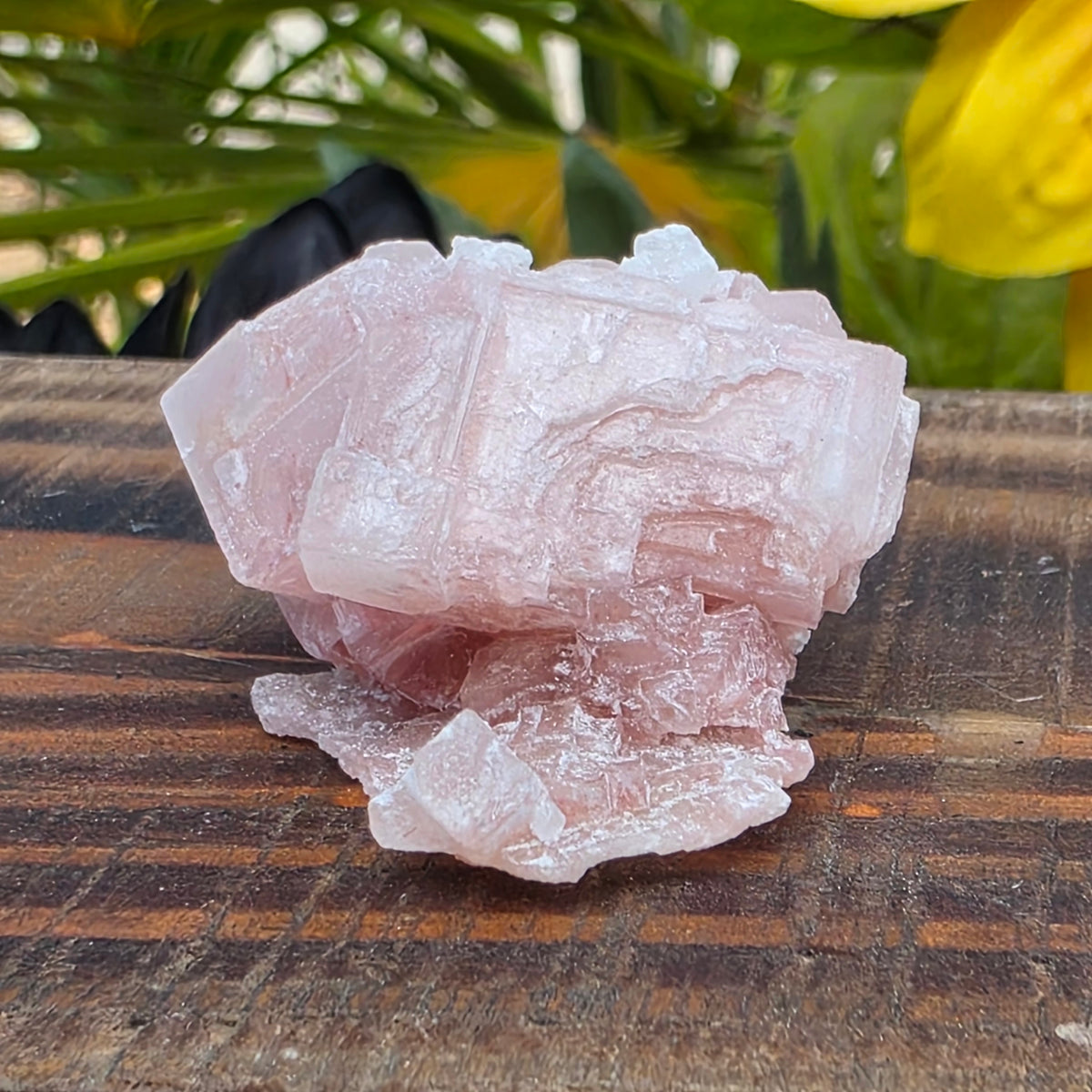 Pink Halite Rock Specimen | Natural Crystal Mineral | 12.67 g