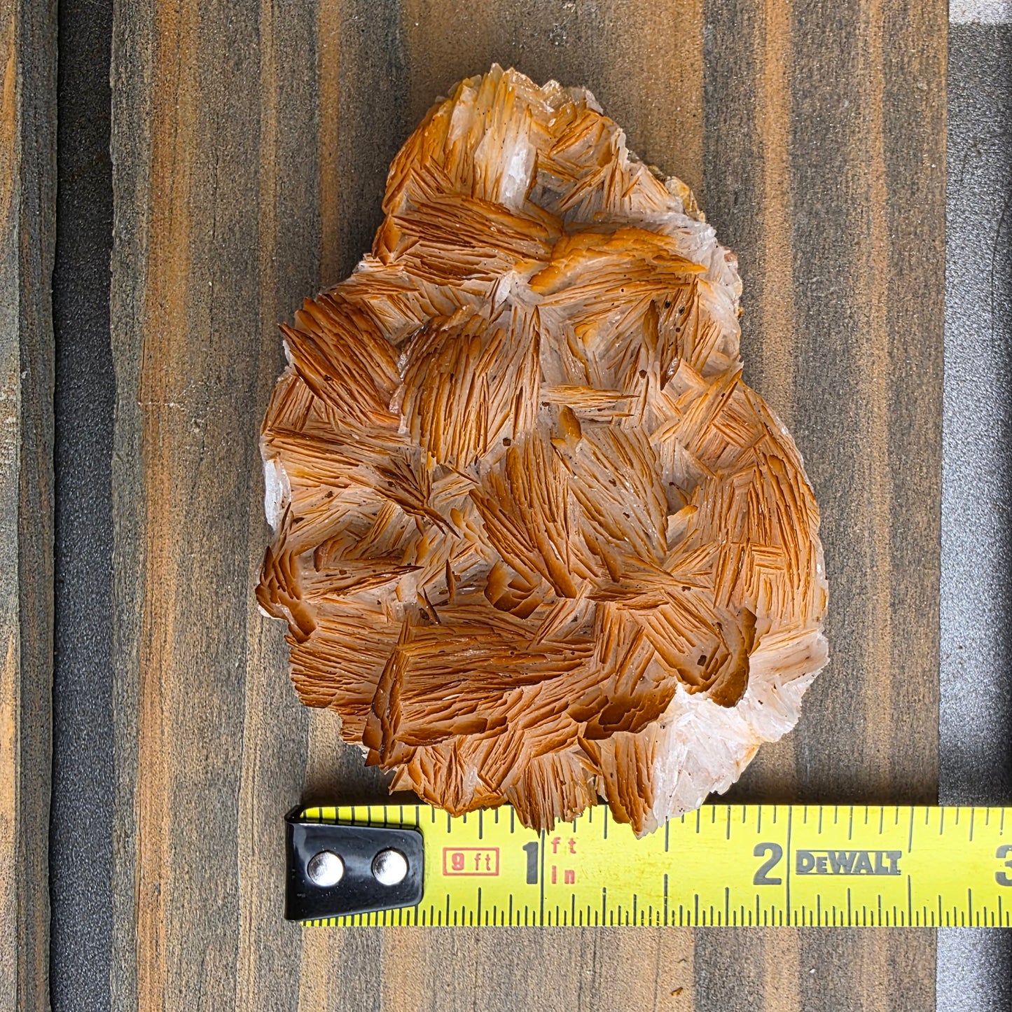 Bladed Barite from Morocco, Tabular Mineral Specimen with Brown and White Ombre Color Fade