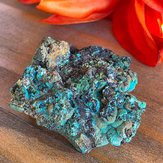 Chrysocolla Mineral Specimen, Copper Ore Rock, Planet Mine, Arizona, with Botryoidal Texture Feature