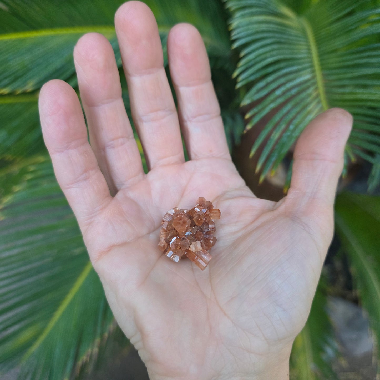 Aragonite Cluster Rock Specimen | Raw Natural Crystal Mineral | 11.34 g