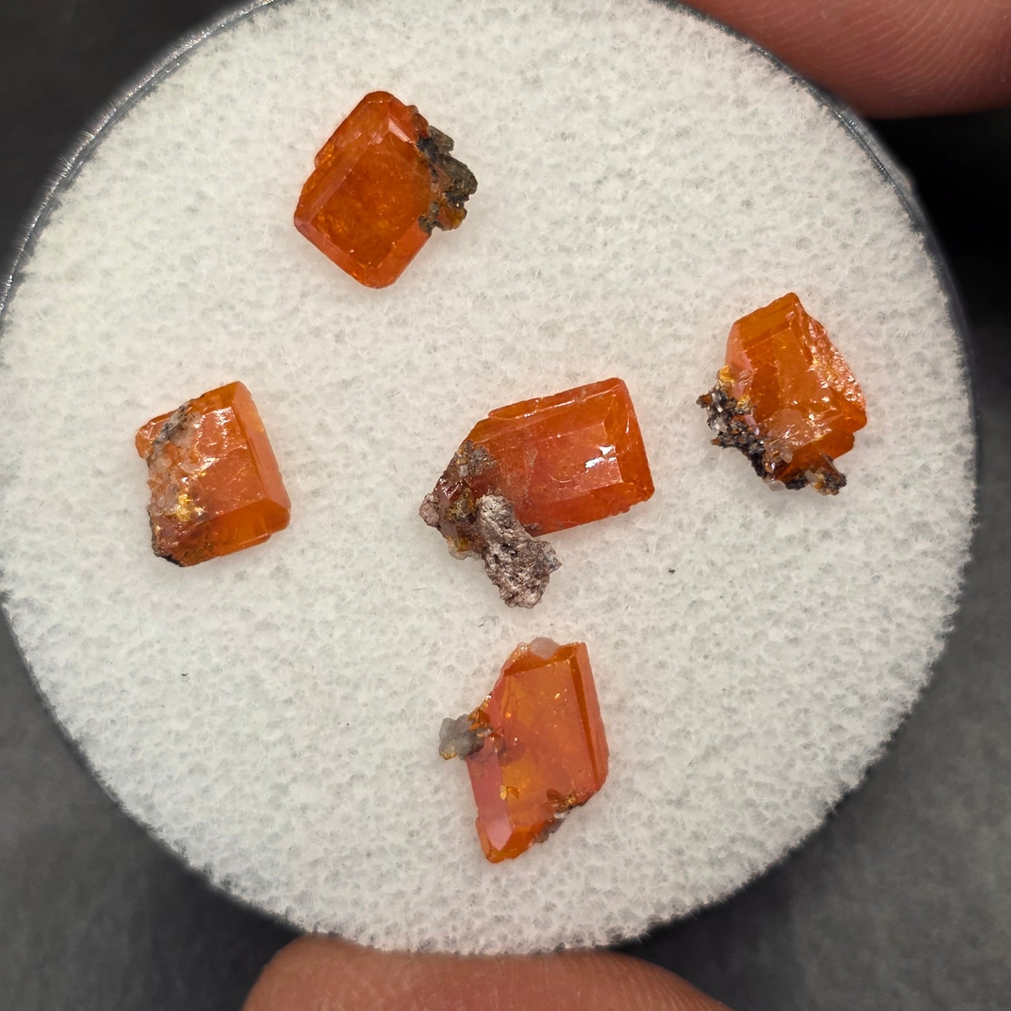 Arizona Wulfenite Gem Jar | 5 Orange Crystals | Red Cloud Mine | La Paz County | Arizona | Raw Stones