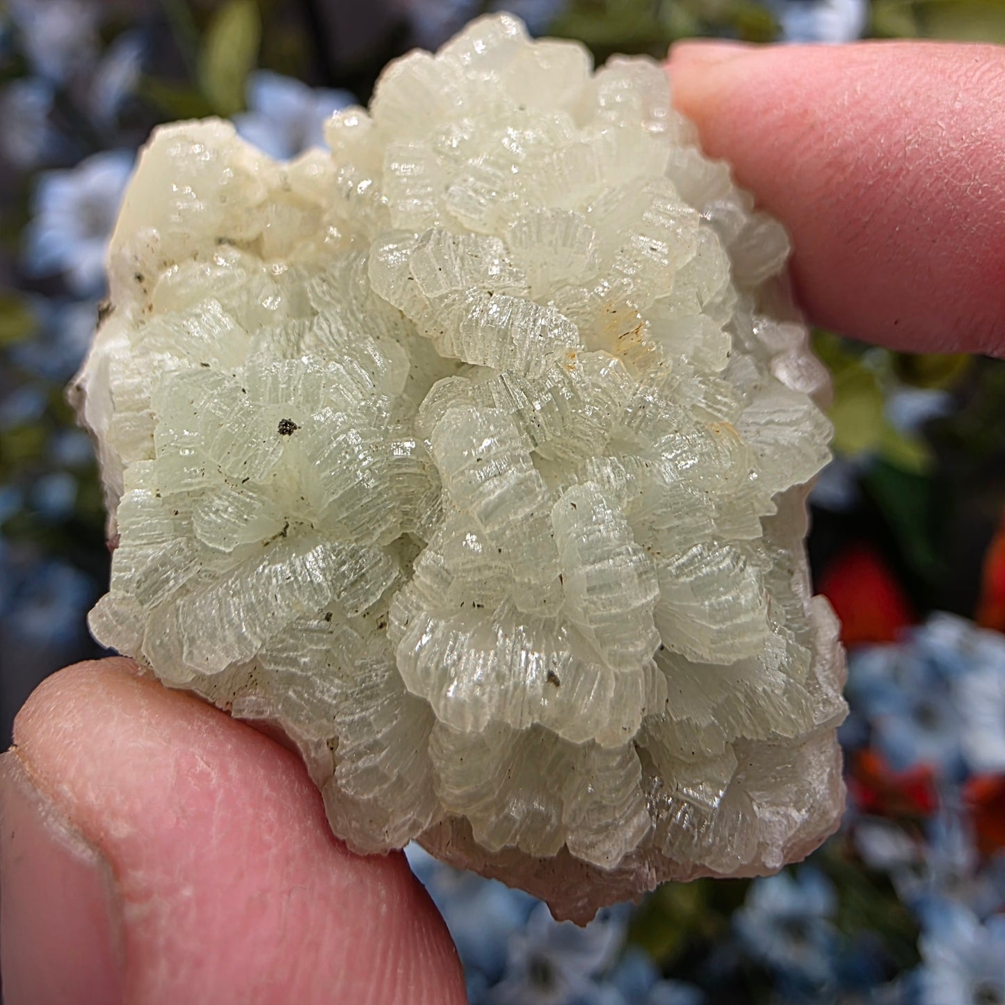 Light Green Prehnite Rock Specimen: Crystal Cluster from Morocco (37.28g)