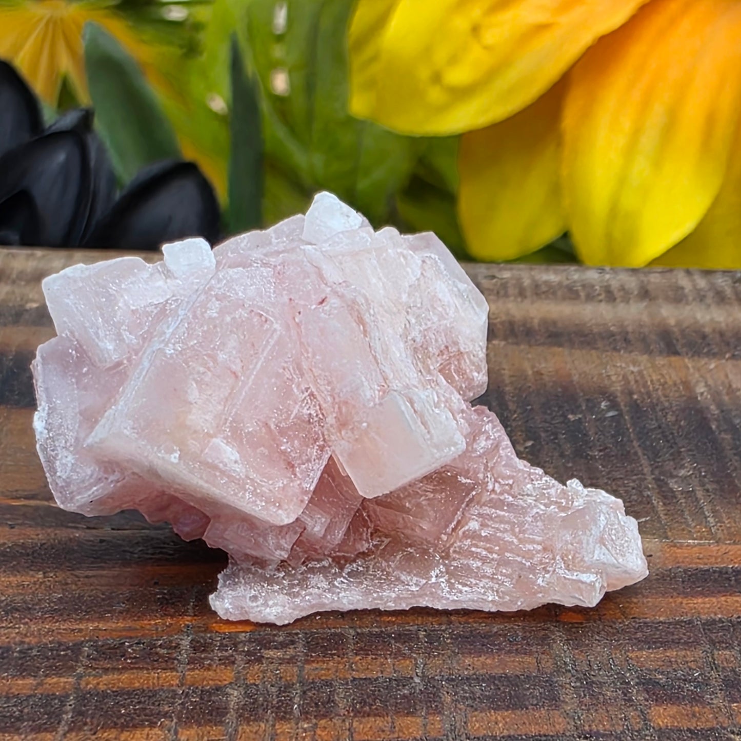 Pink Halite Rock Specimen | Natural Crystal Mineral | 12.67 g