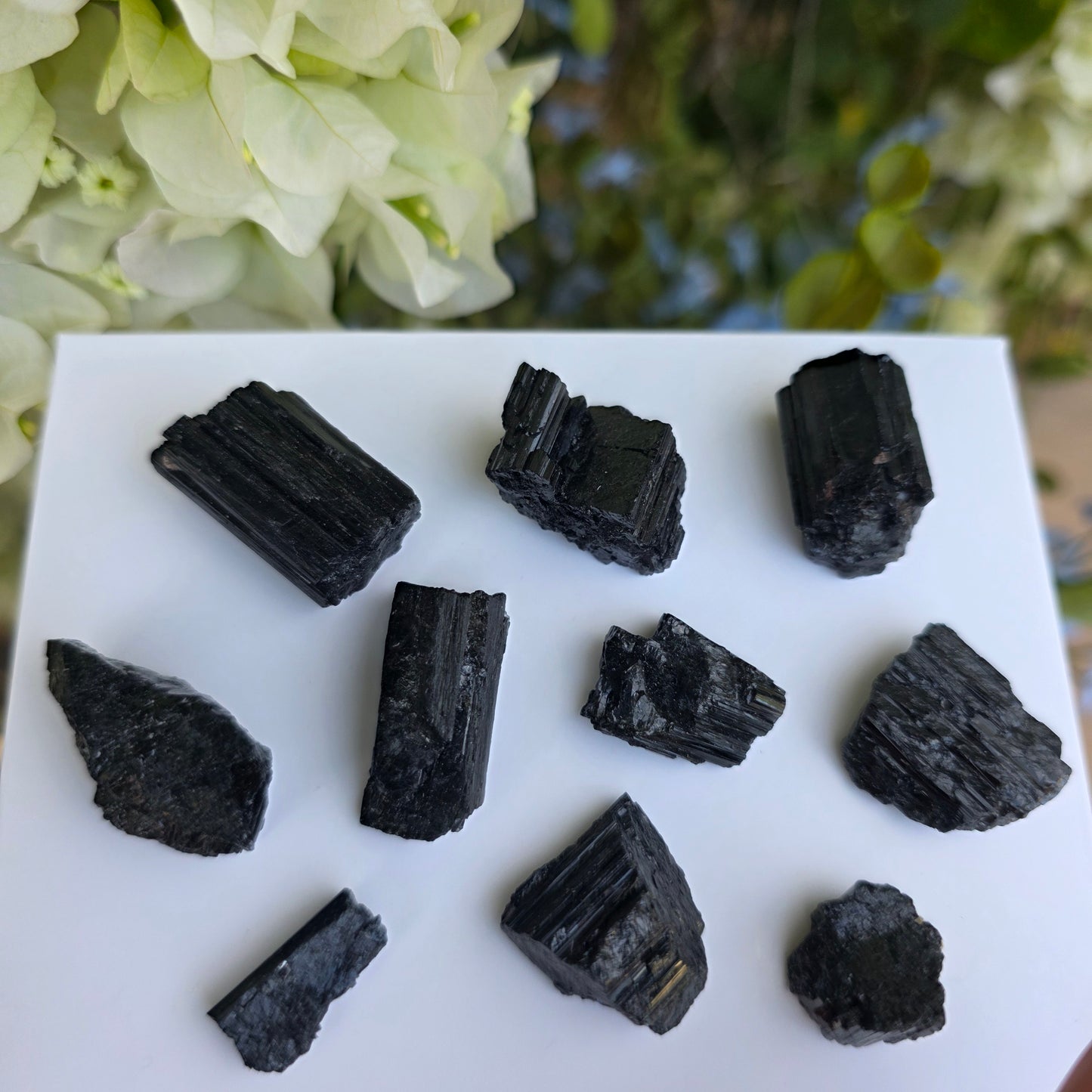 Wholesale Black Tourmaline / Natural Schorl, Lot of 10 Small Pieces, 72 g Total