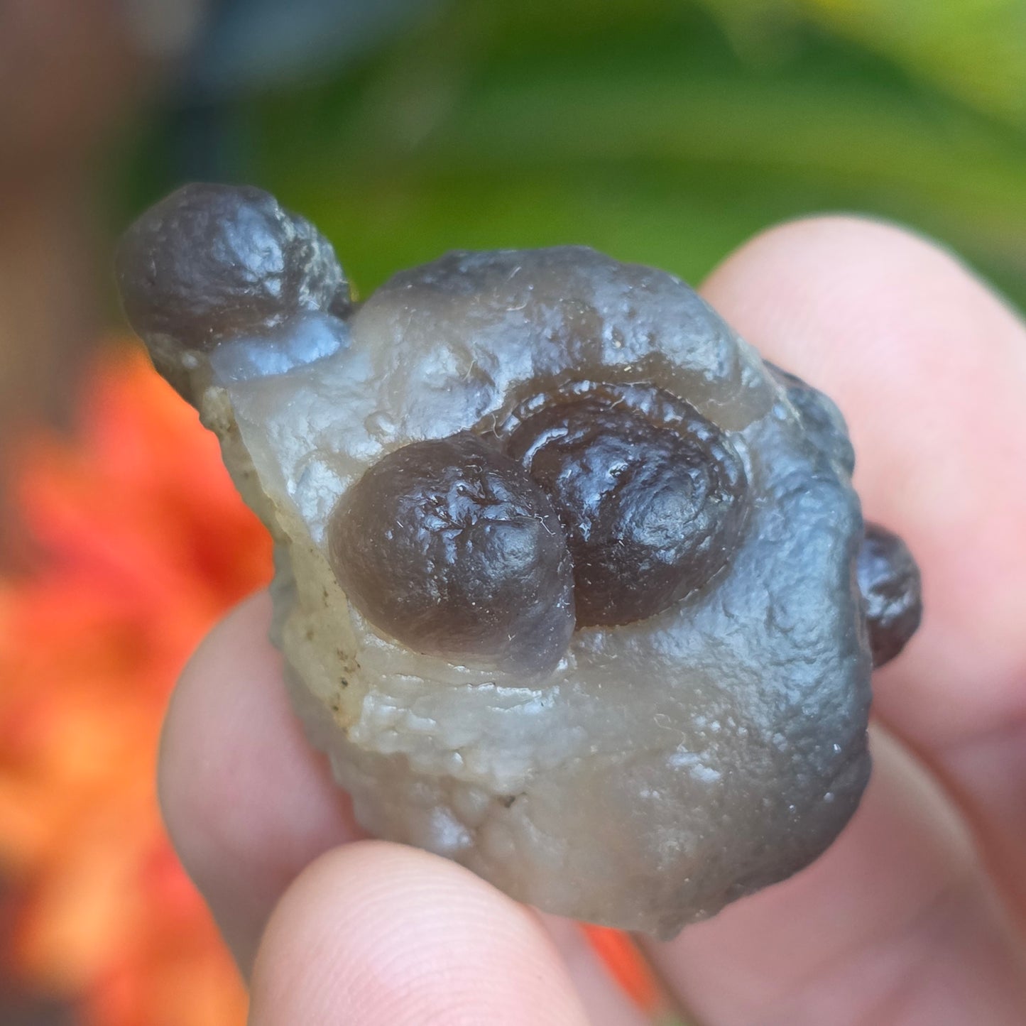 Truffle Chalcedony Rock Specimen, Raw Natural Mineral with Botryoidal Shape from Morocco