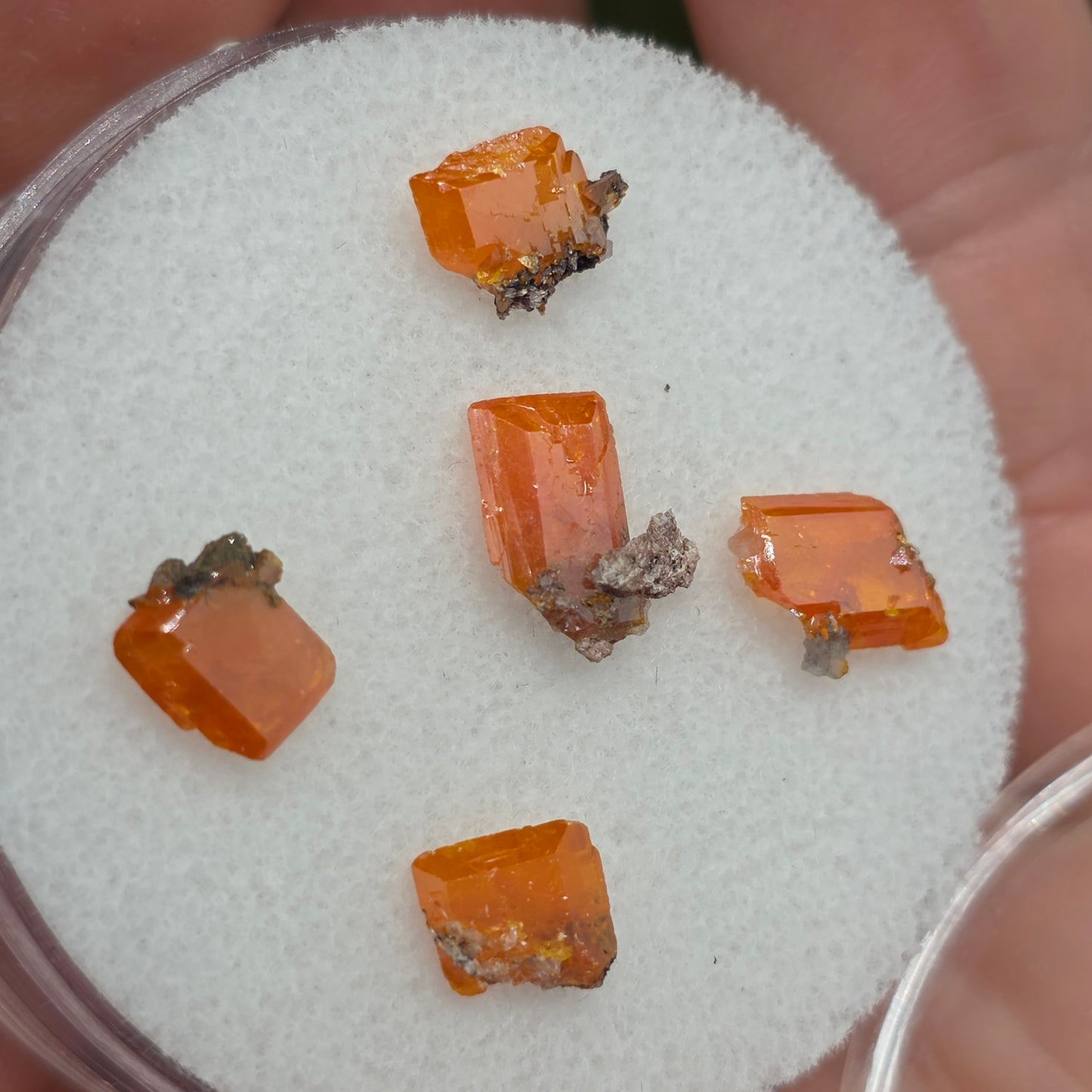 Arizona Wulfenite Gem Jar | 5 Orange Crystals | Red Cloud Mine | La Paz County | Arizona | Raw Stones