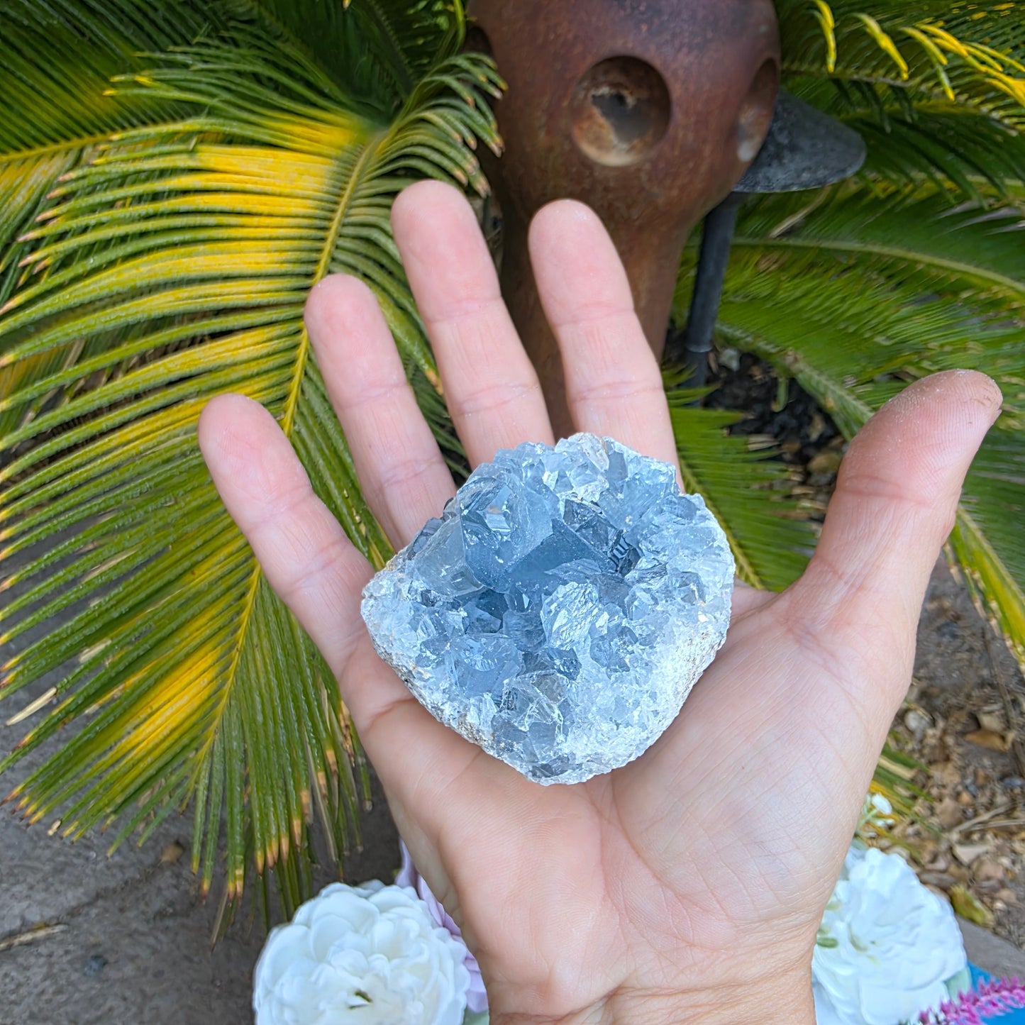 Celestite Crystal Rock Specimen |  Natural Blue Mineral | 238 g