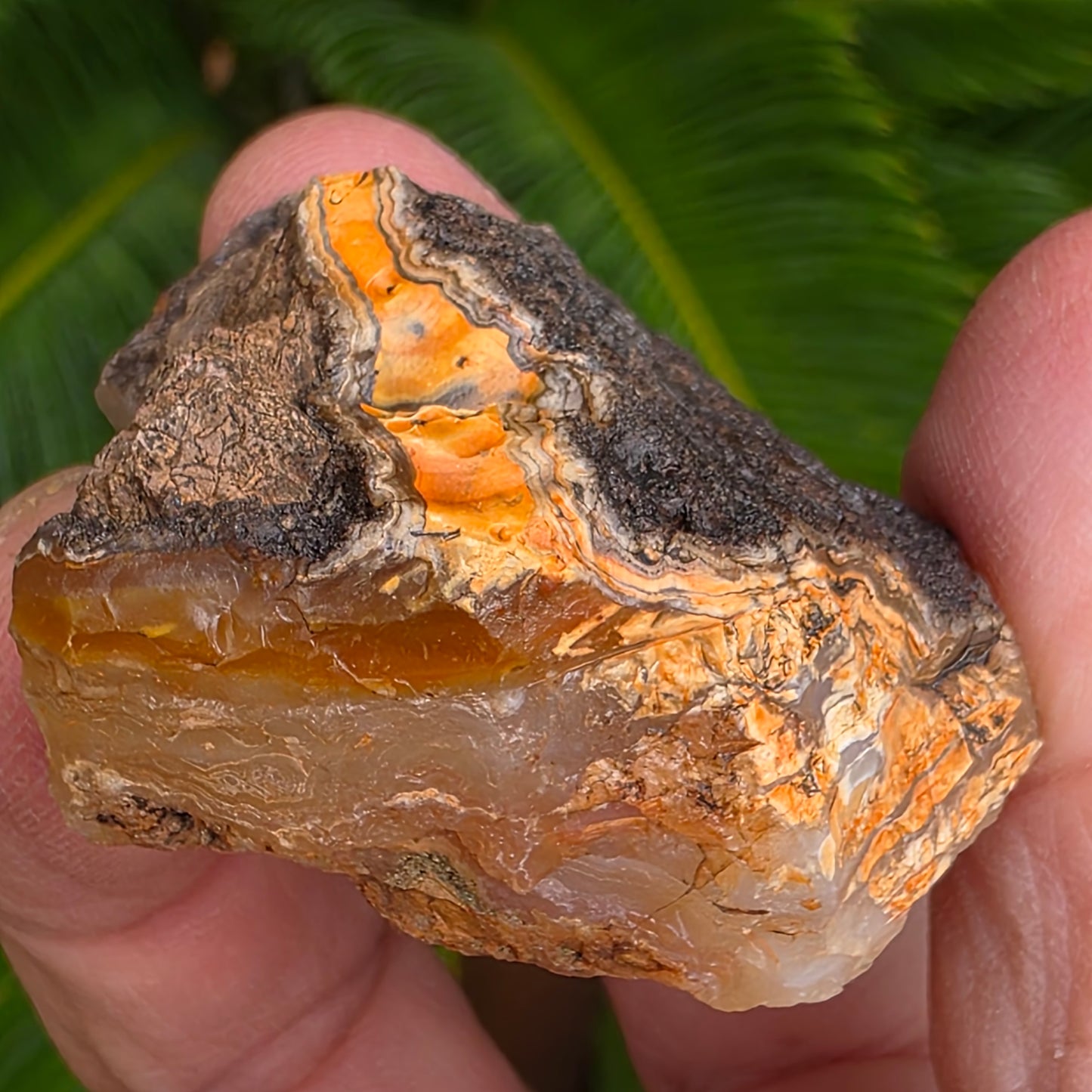 California Jasper Chalcedony Agate Specimen: Natural Mule Mountains Rock (53.22 grams)