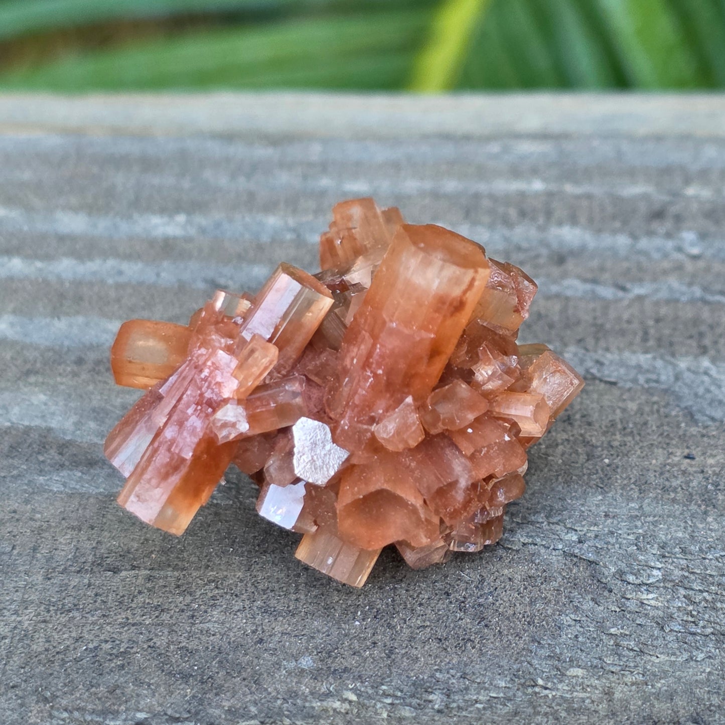 Aragonite Cluster Rock Specimen | Raw Natural Crystal Mineral | 11.34 g