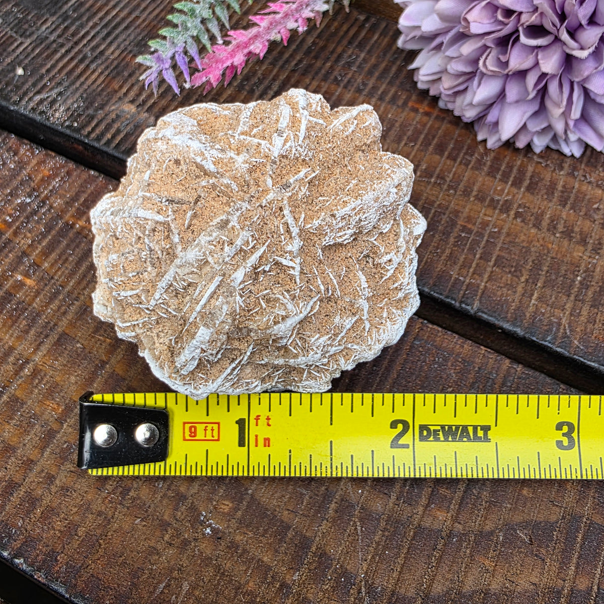 Desert Rose Gypsum Cluster Rock Specimen | Raw Natural Crystal Mineral