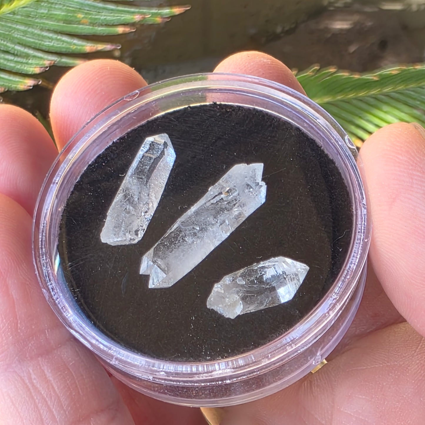 Arkansas Quartz Crystals | Three Small Pieces in a Gem Jar, from Mt. Ida