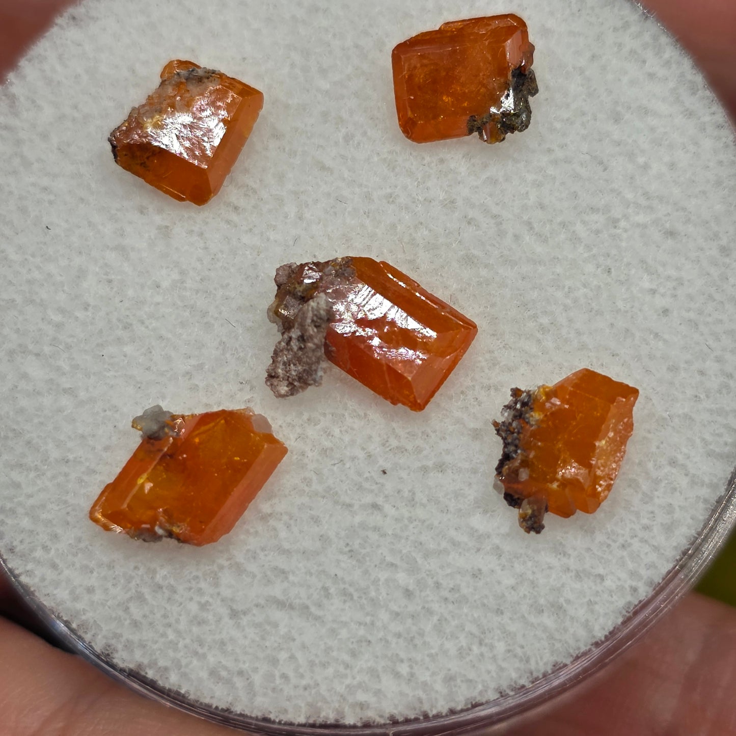 Arizona Wulfenite Gem Jar | 5 Orange Crystals | Red Cloud Mine | La Paz County | Arizona | Raw Stones