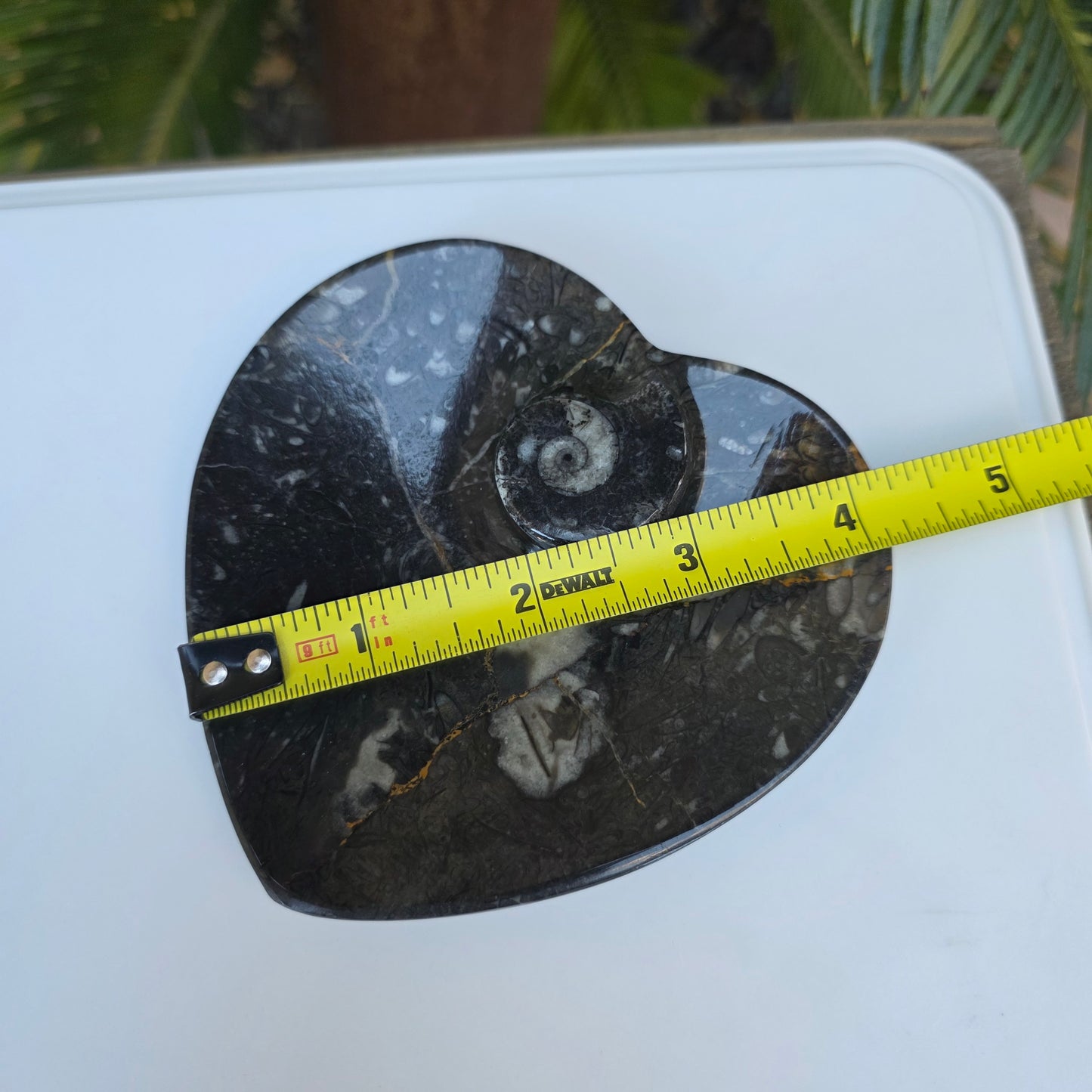 Polished Ammonite and Orthoceras Fossil Heart Shaped Dish 4 Inch Black & White Stone Bowl