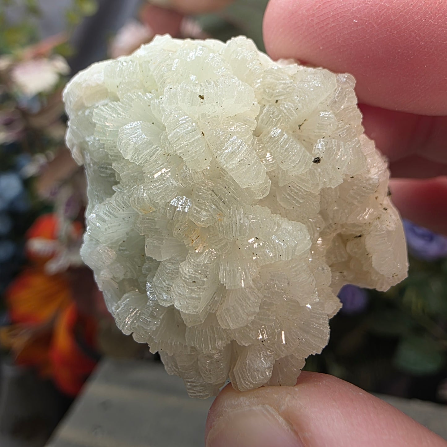 Light Green Prehnite Rock Specimen: Crystal Cluster from Morocco (37.28g)