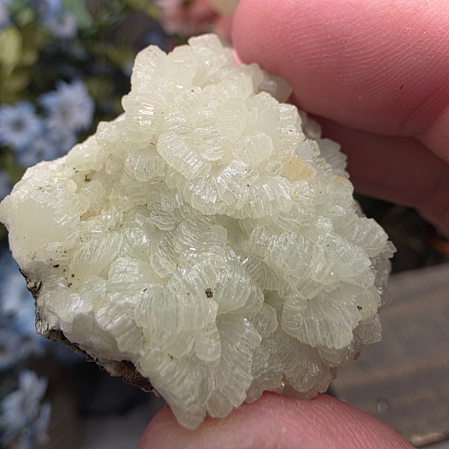 Light Green Prehnite Rock Specimen: Crystal Cluster from Morocco (37.28g)