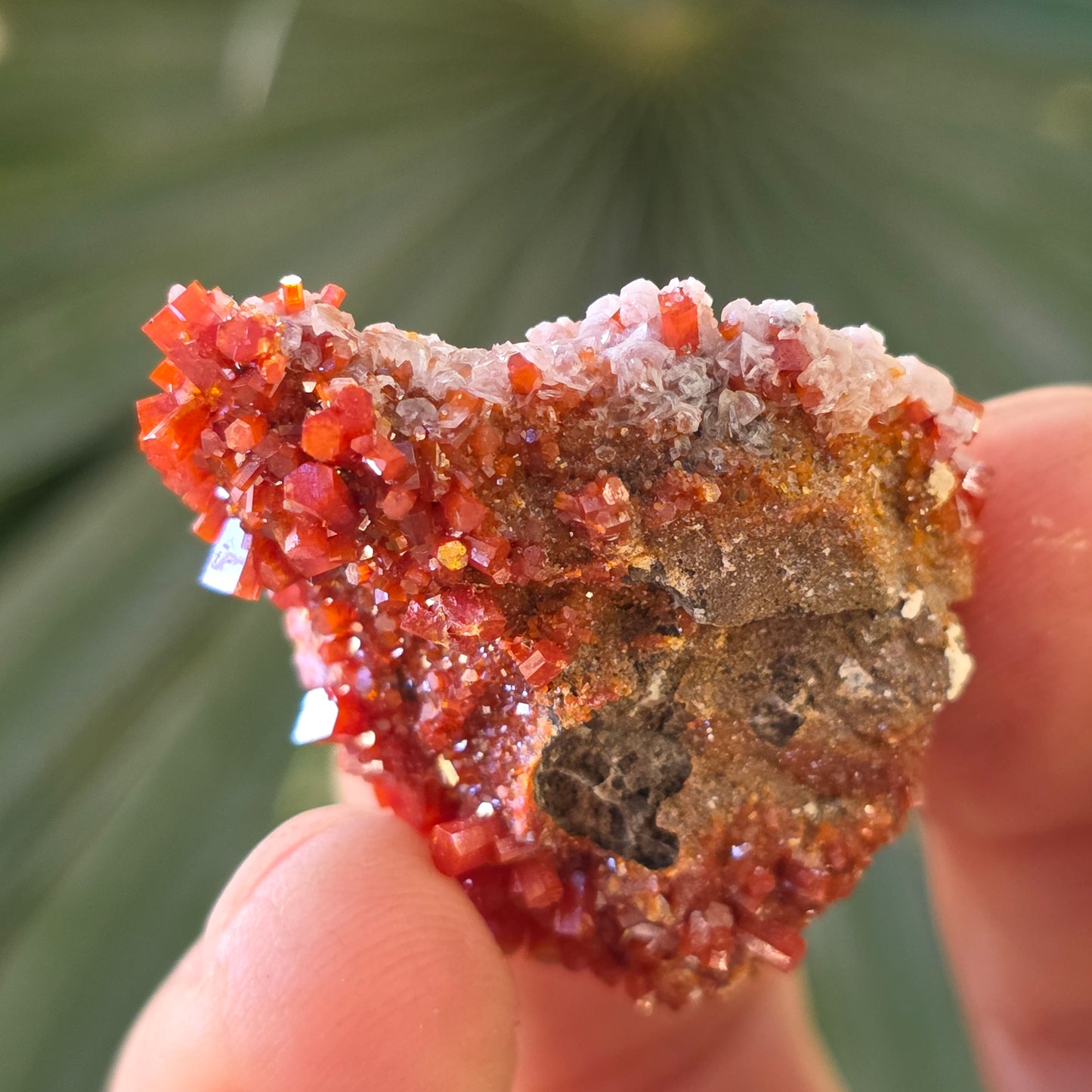 Arizona Vanadinite Rock | Red Crystals | La Paz County | Arizona | Raw Stone