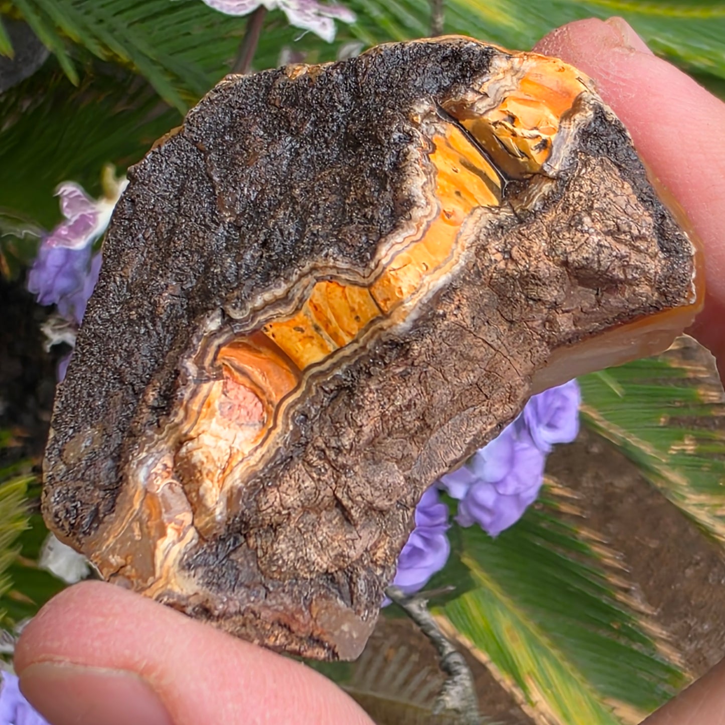 California Jasper Chalcedony Agate Specimen: Natural Mule Mountains Rock (53.22 grams)