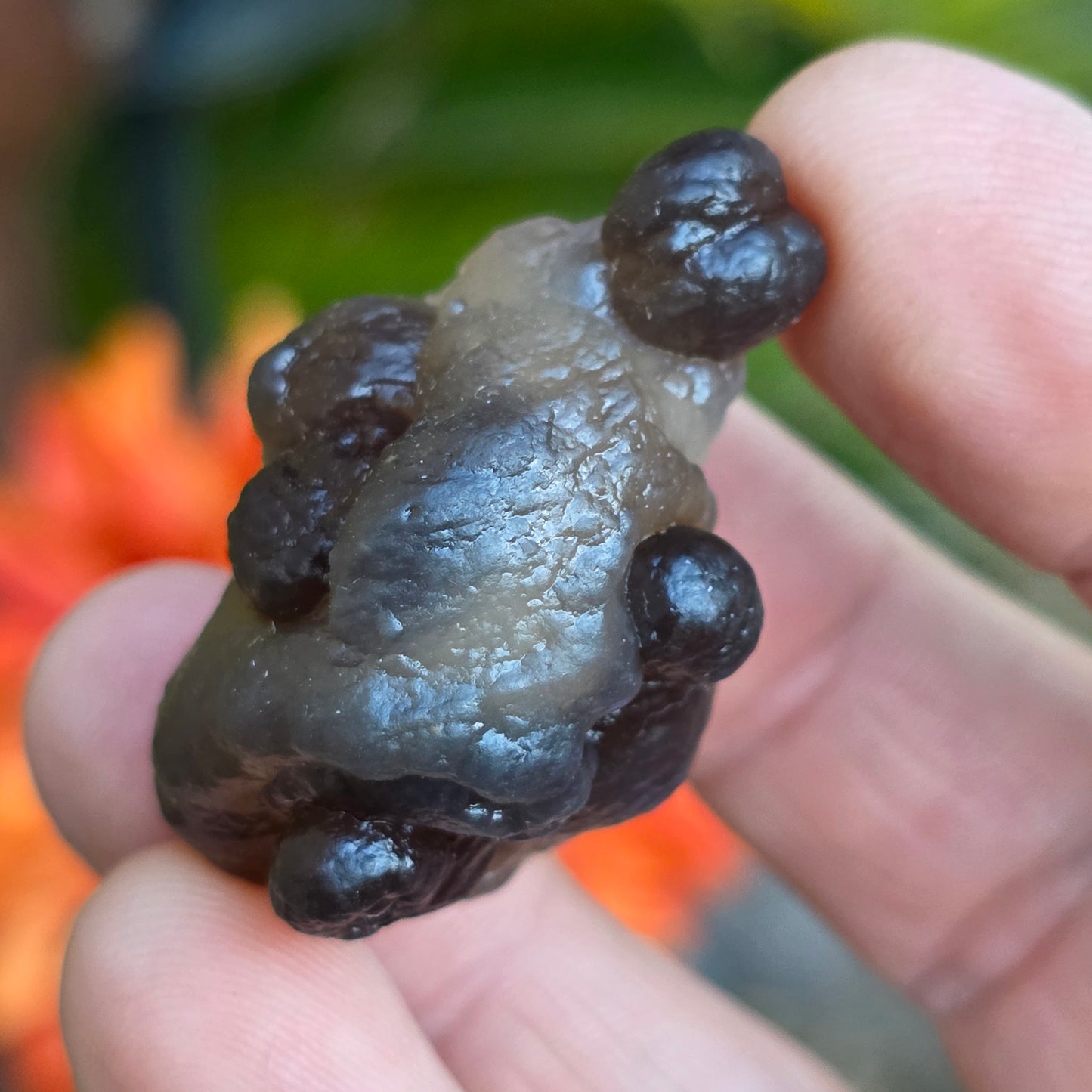Truffle Chalcedony Rock Specimen, Raw Natural Mineral with Botryoidal Shape from Morocco