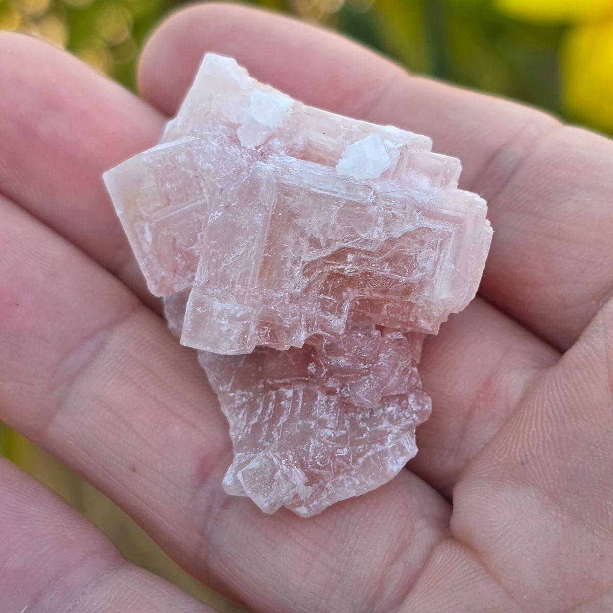 Pink Halite Rock Specimen | Natural Crystal Mineral | 12.67 g