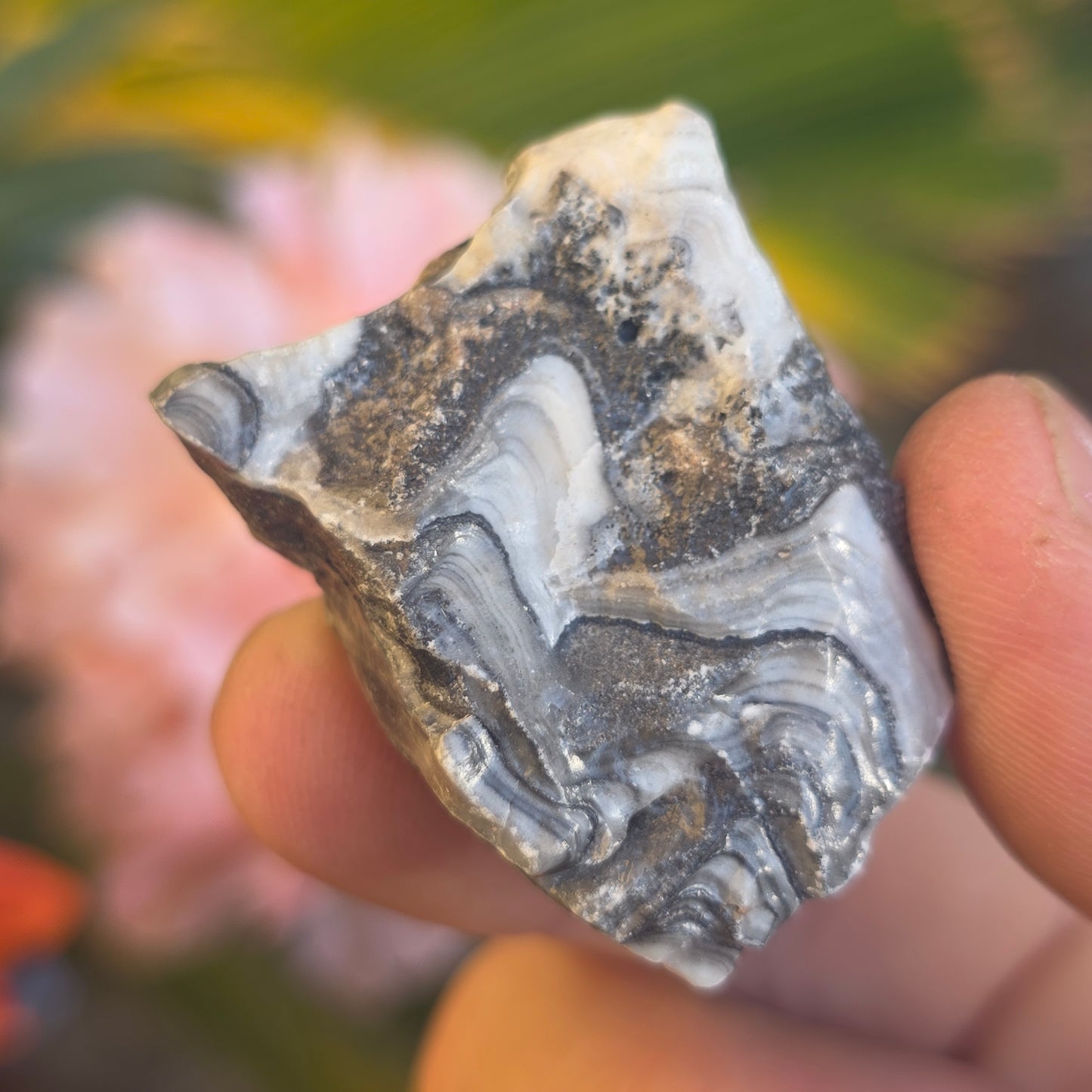 Zebra Calcite Rock Specimen | Natural Crystal Mineral | 27 Grams
