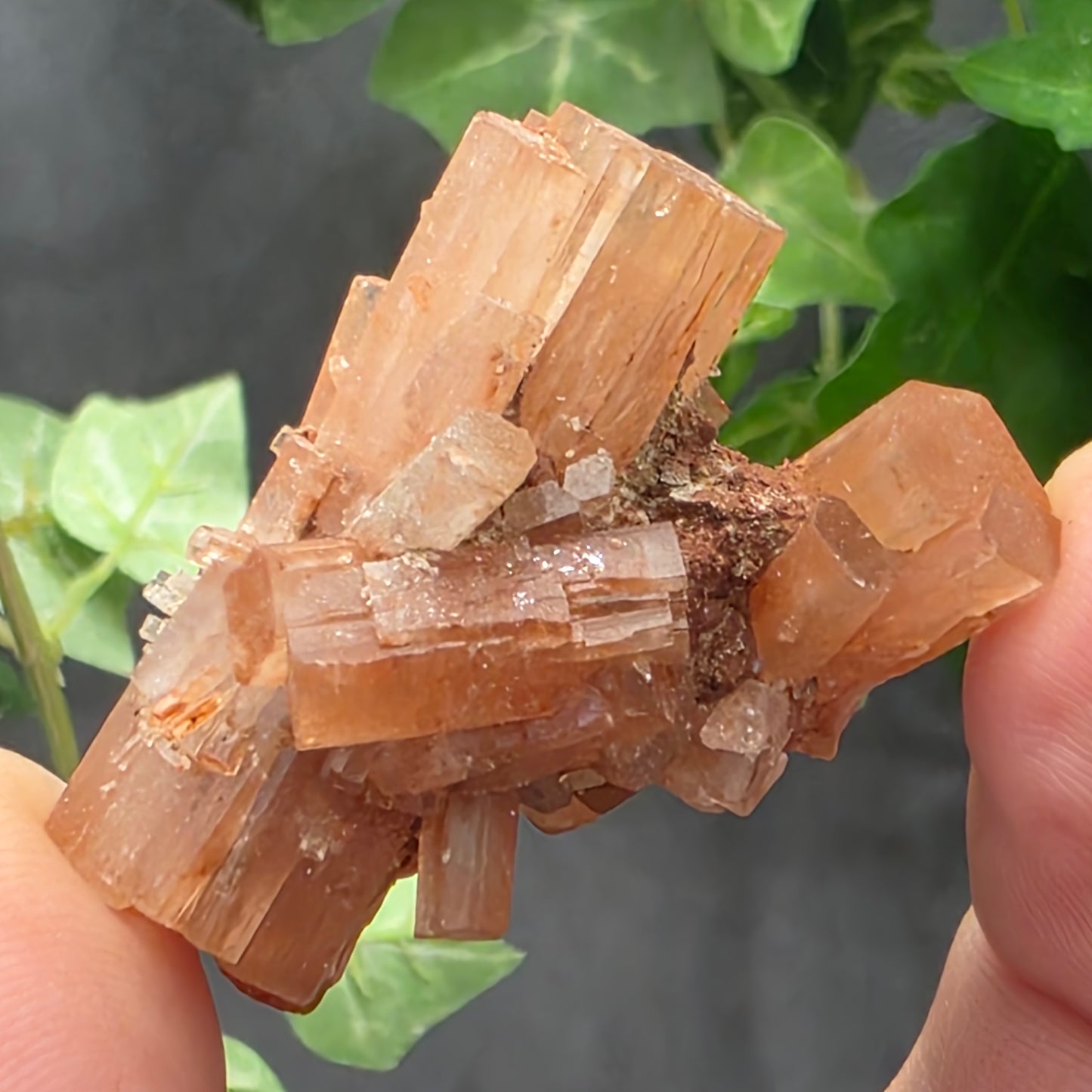 Aragonite Cluster Rock Specimen | Raw Natural Crystal Mineral | 15.83 g