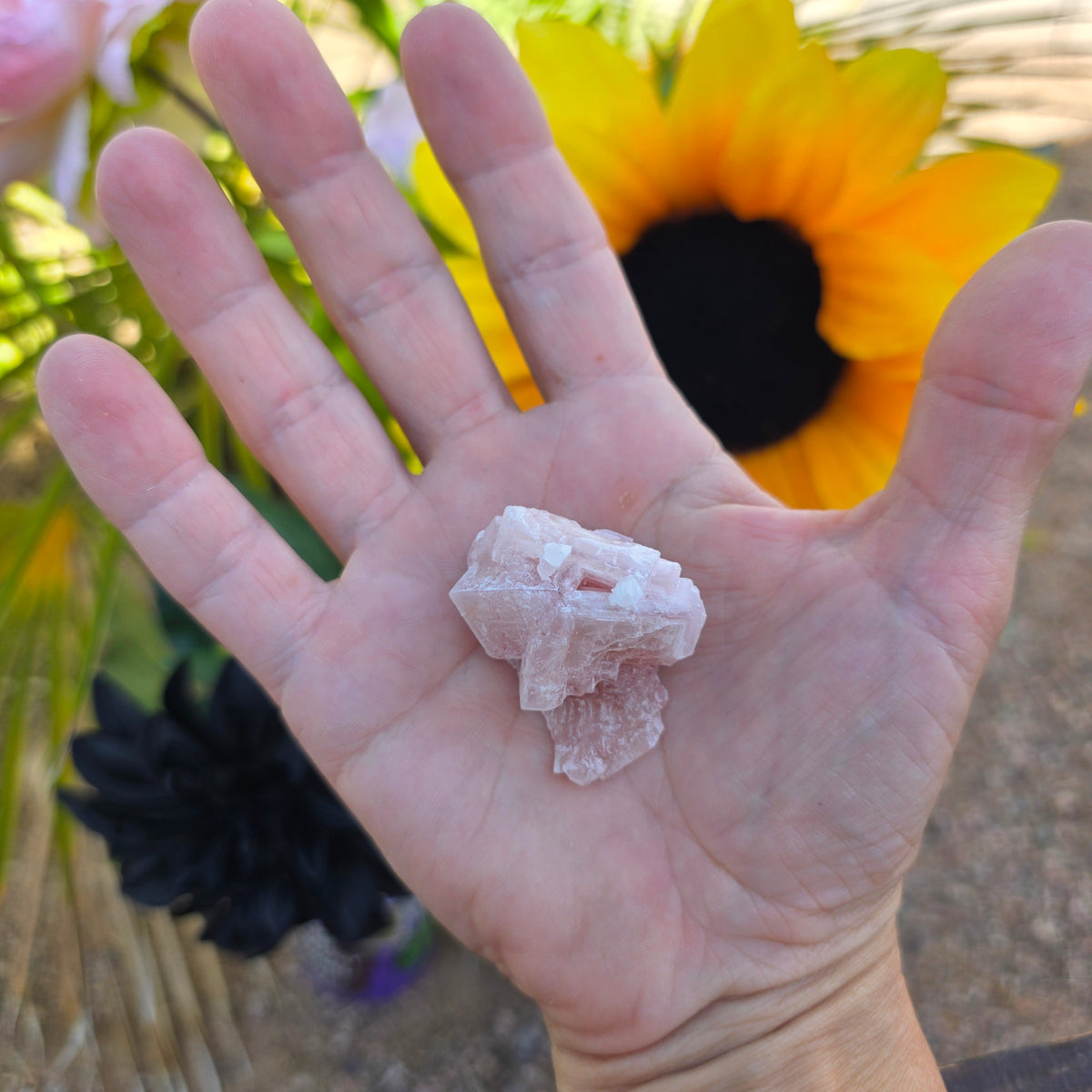 Pink Halite Rock Specimen | Natural Crystal Mineral | 12.67 g