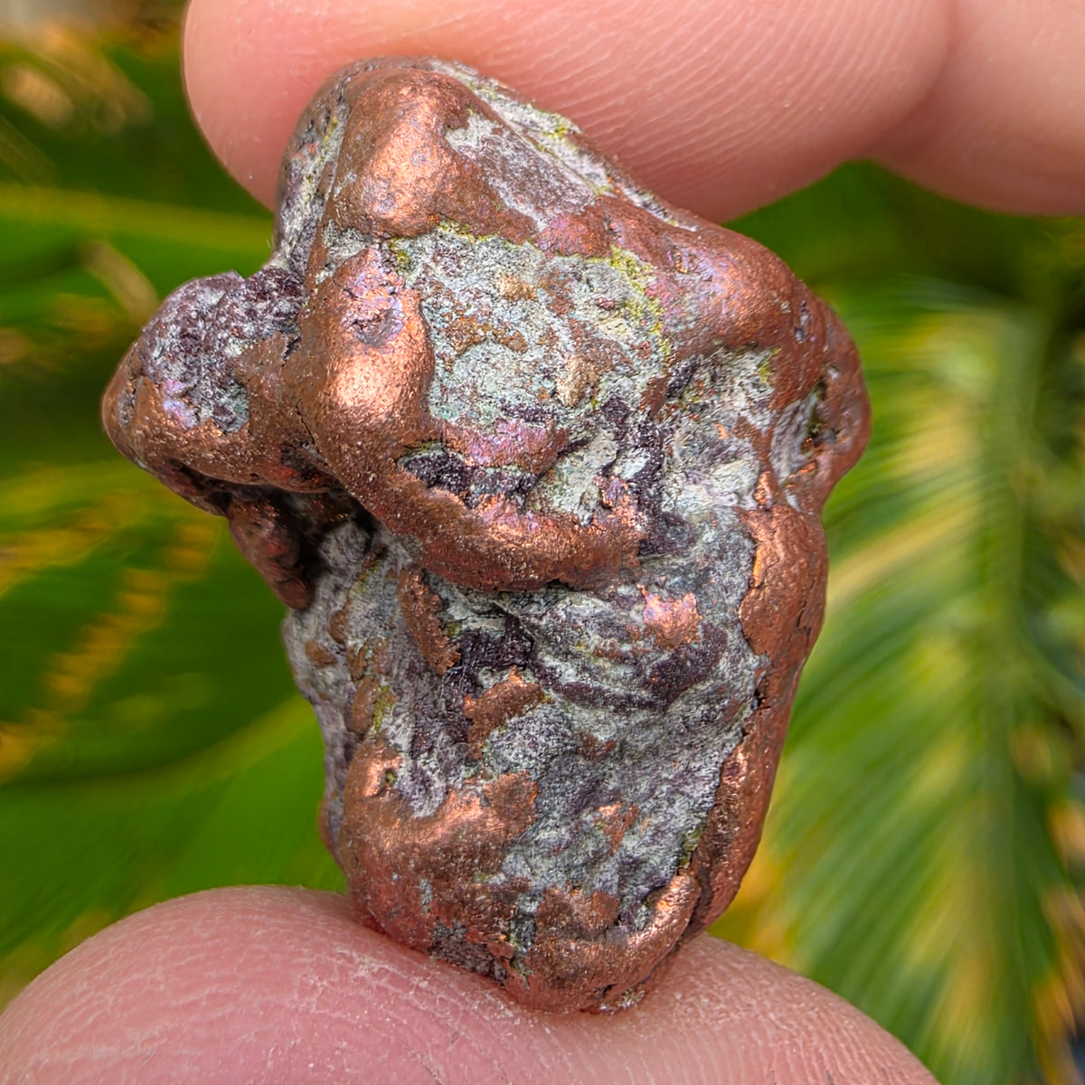 Native Michigan Copper - Rock Specimen from the Keweenaw Peninsula