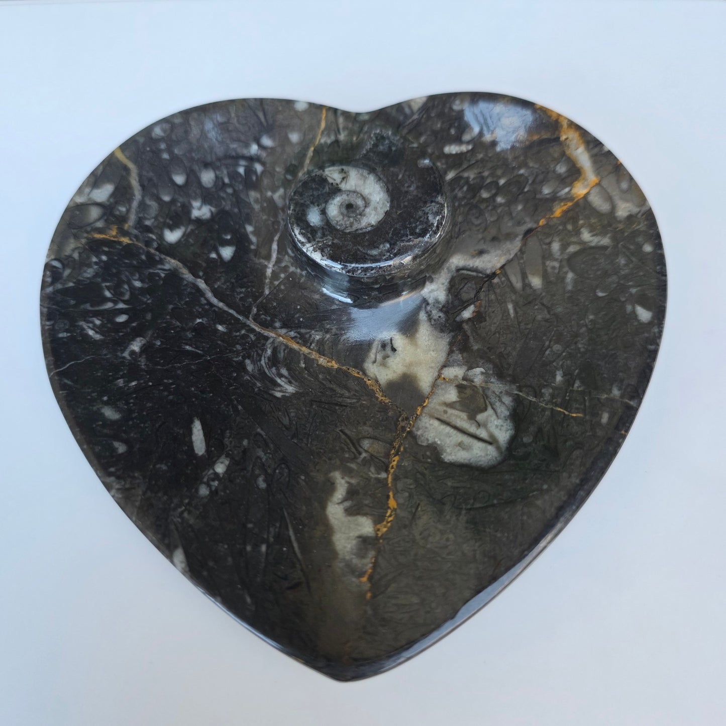Polished Ammonite and Orthoceras Fossil Heart Shaped Dish 4 Inch Black & White Stone Bowl
