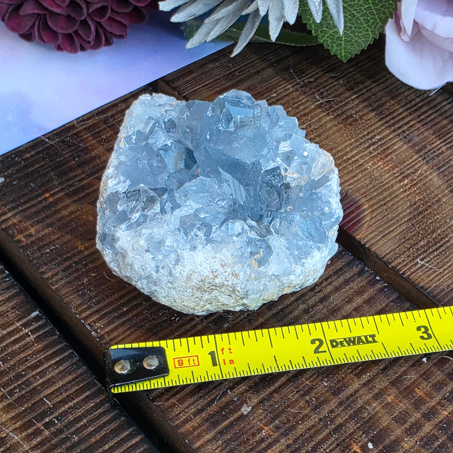 Celestite Crystal Rock Specimen |  Natural Blue Mineral | 238 g