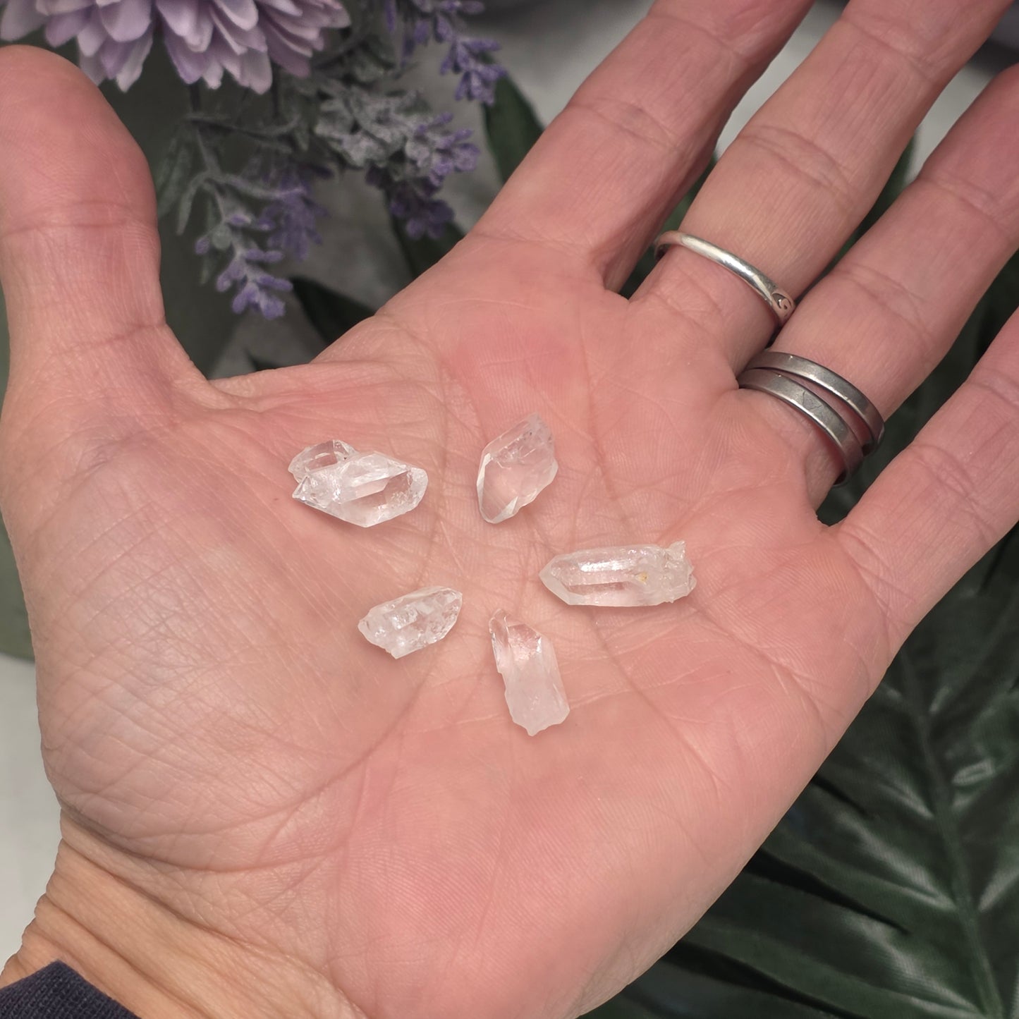 Five Super Clear Arkansas Quartz Crystals | Beautiful Points | Mt. Ida