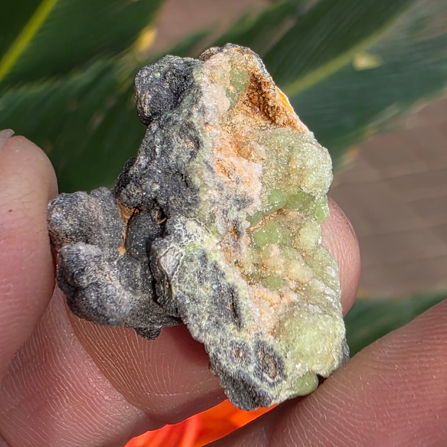 Green Wavellite Rock Specimen | Mauldin Mountain, Arkansas | Raw Stone