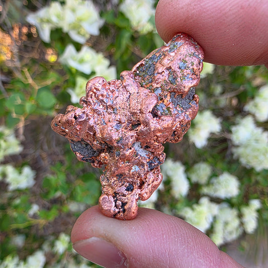 Shiny Michigan Copper - Rock Specimen from the Keweenaw Peninsula