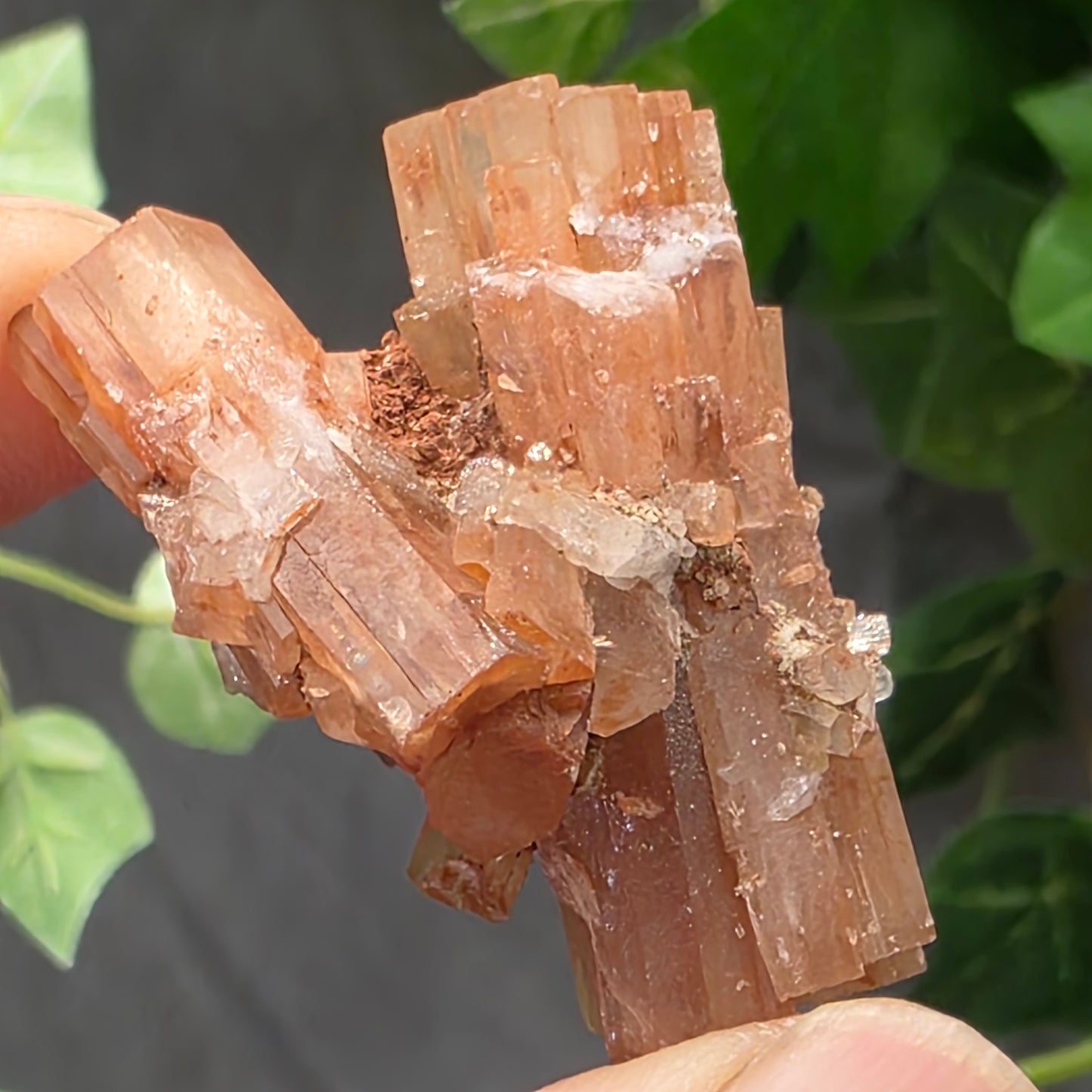 Aragonite Cluster Rock Specimen | Raw Natural Crystal Mineral | 15.83 g