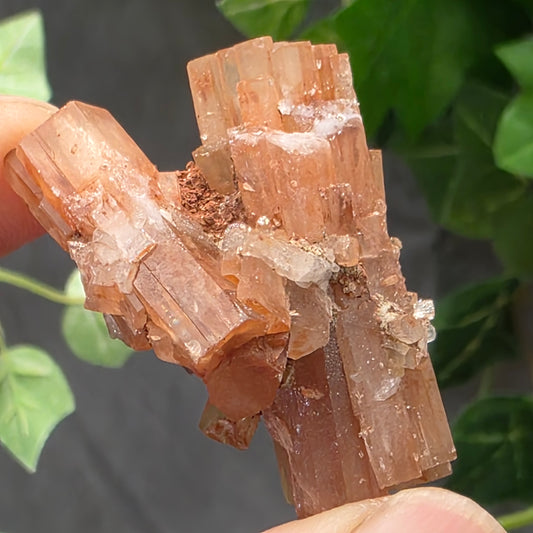 Aragonite Cluster Rock Specimen | Raw Natural Crystal Mineral | 15.83 g