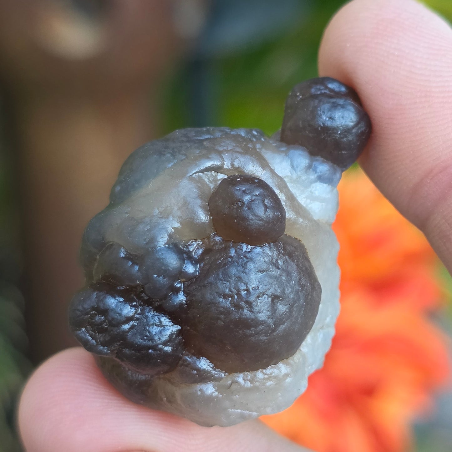 Truffle Chalcedony Rock Specimen, Raw Natural Mineral with Botryoidal Shape from Morocco