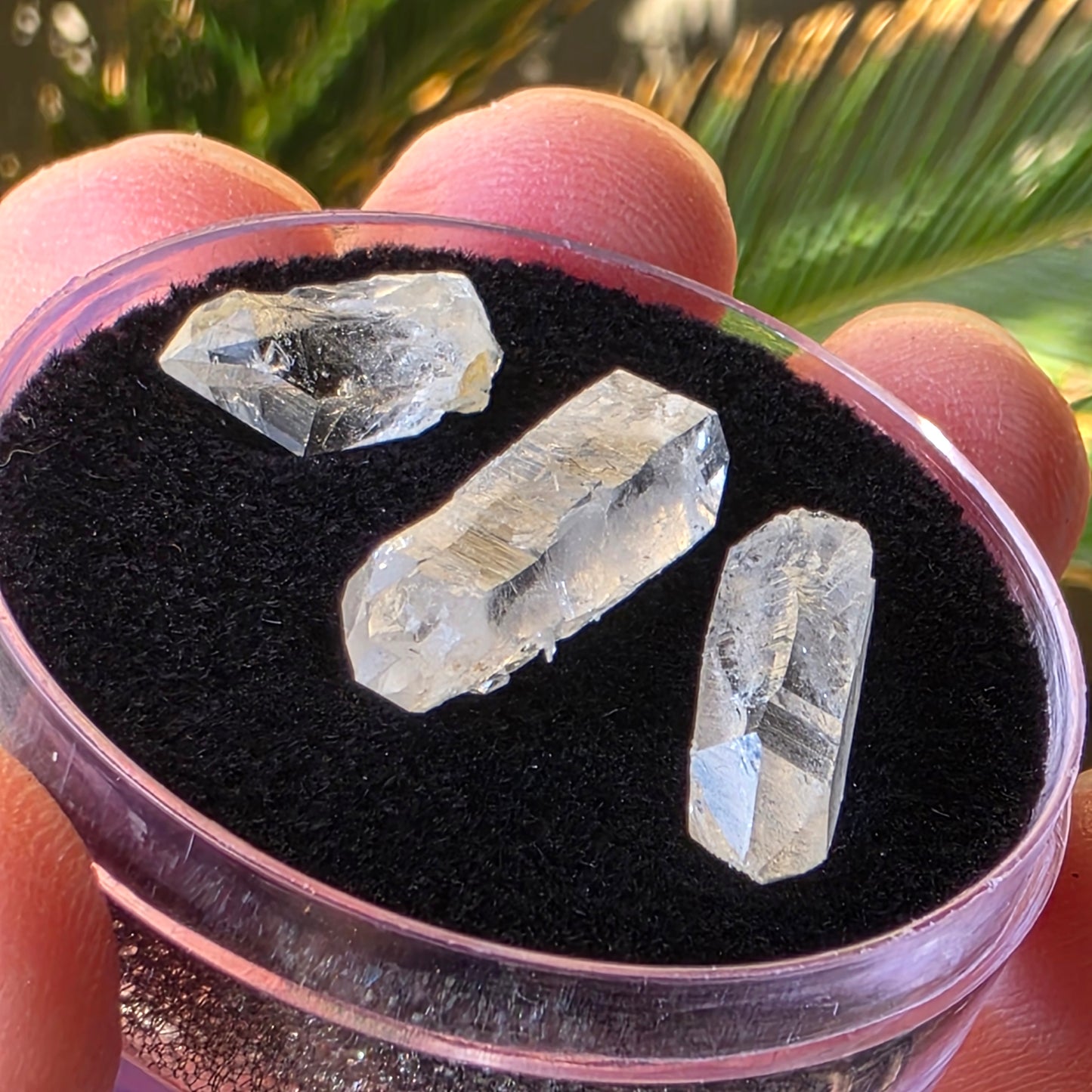 Arkansas Quartz Crystals | Three Small Pieces in a Gem Jar, from Mt. Ida