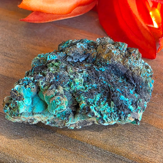 Chrysocolla Mineral Specimen, Copper Ore Rock, Planet Mine, Arizona, with Botryoidal Texture Feature