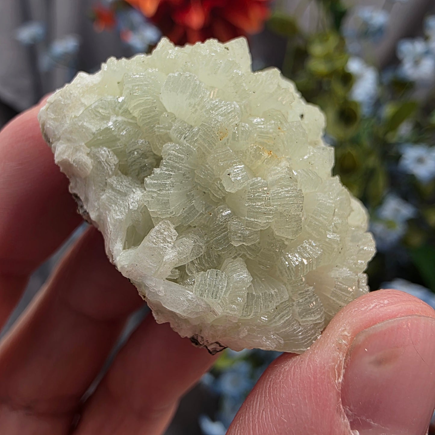 Light Green Prehnite Rock Specimen: Crystal Cluster from Morocco (37.28g)