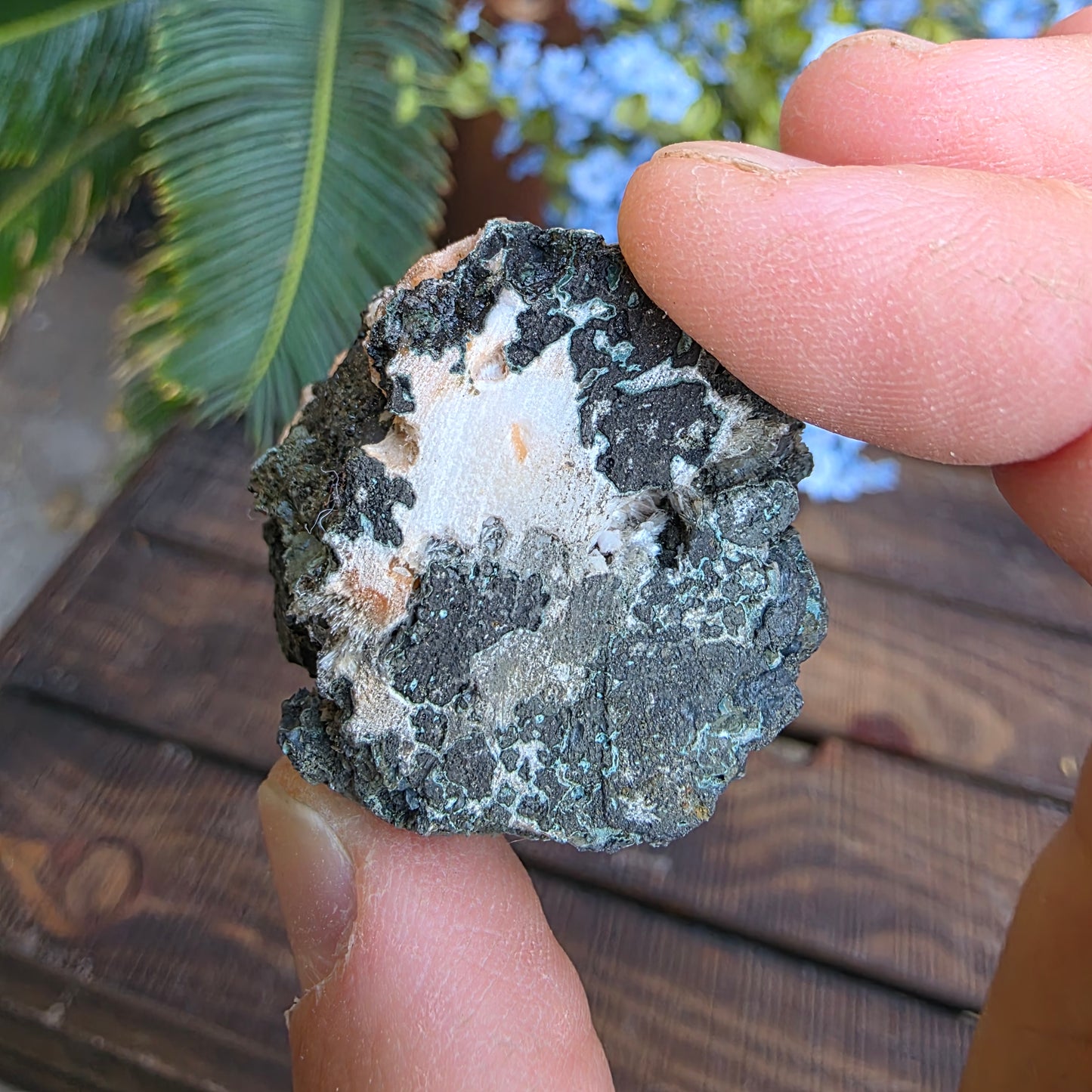 Thomsonite Mineral Specimen | Natural Orange Crystal on Basalt Matrix Rock