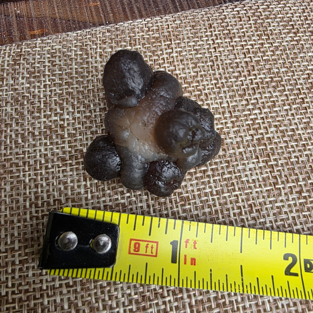 Truffle Chalcedony Rock Specimen, Raw Natural Mineral with Botryoidal Shape from Morocco