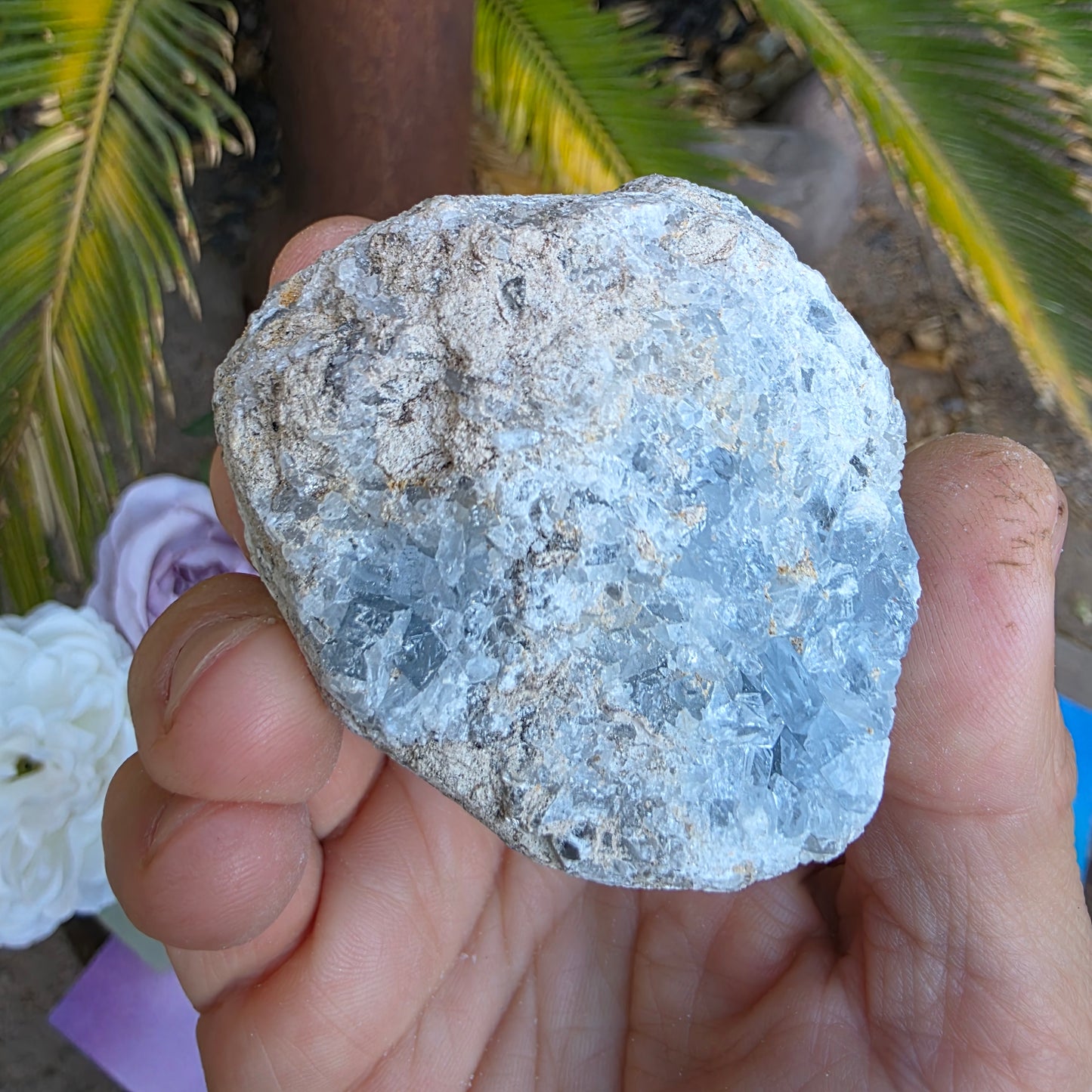 Celestite Crystal Rock Specimen |  Natural Blue Mineral | 238 g