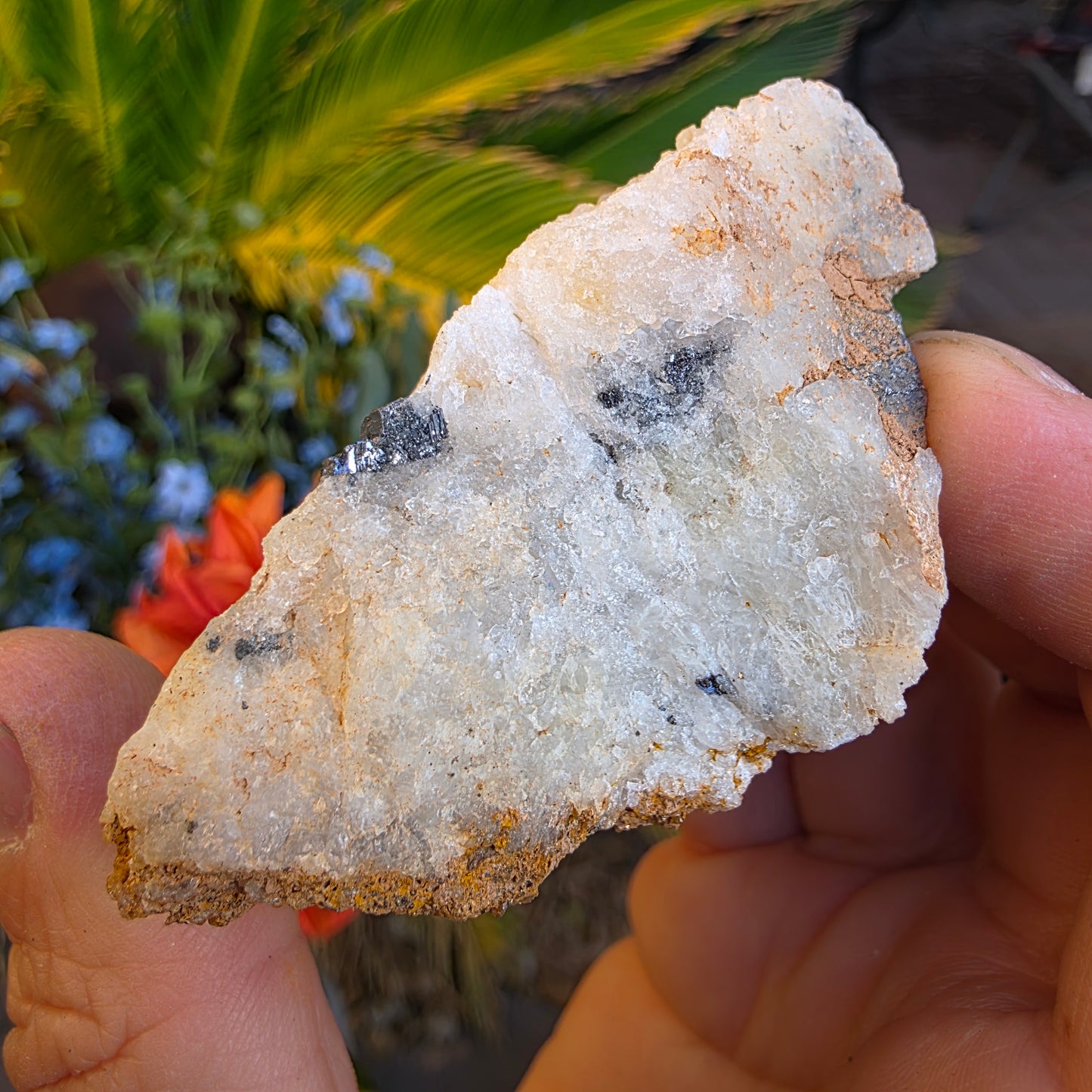 Galena on Quartz Matrix Rock Mineral Specimen from Morocco Raw Shiny Stone