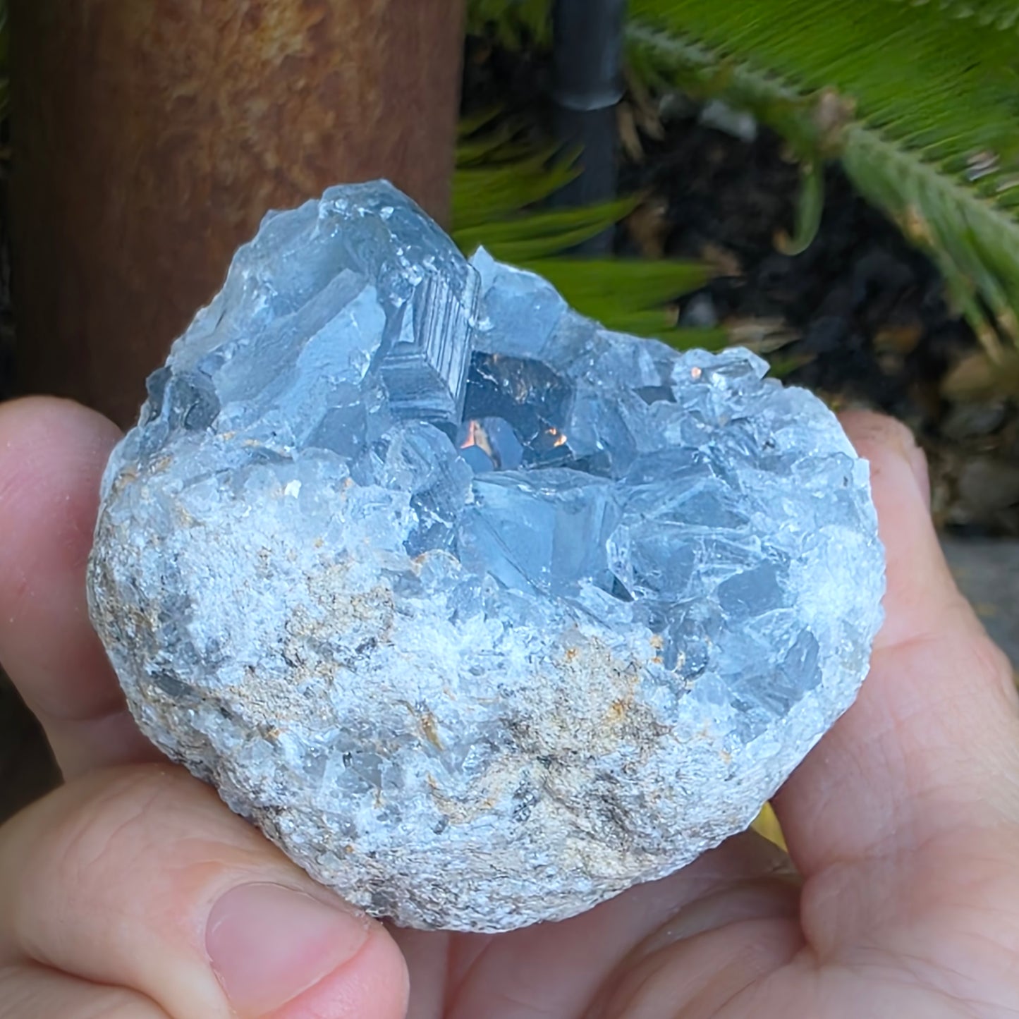 Celestite Crystal Rock Specimen |  Natural Blue Mineral | 238 g