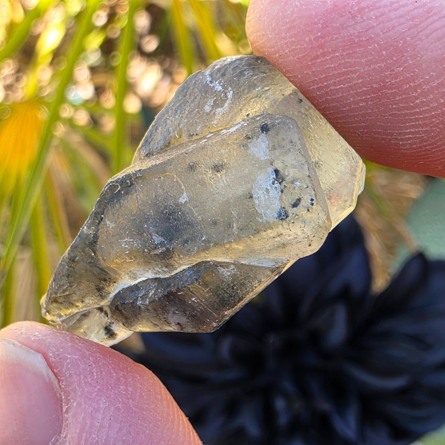 Hanksite Rock Specimen | Natural Crystal Mineral |Trona, California | 8.67 g