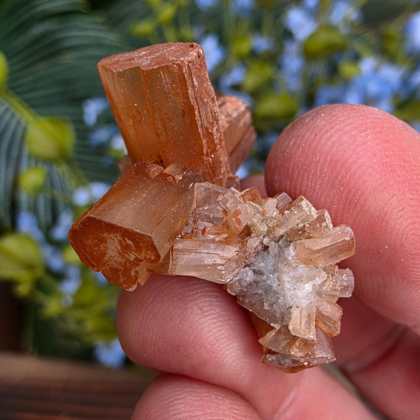Aragonite Cluster Rock Specimen | Raw Natural Crystal Mineral | 9.36 g